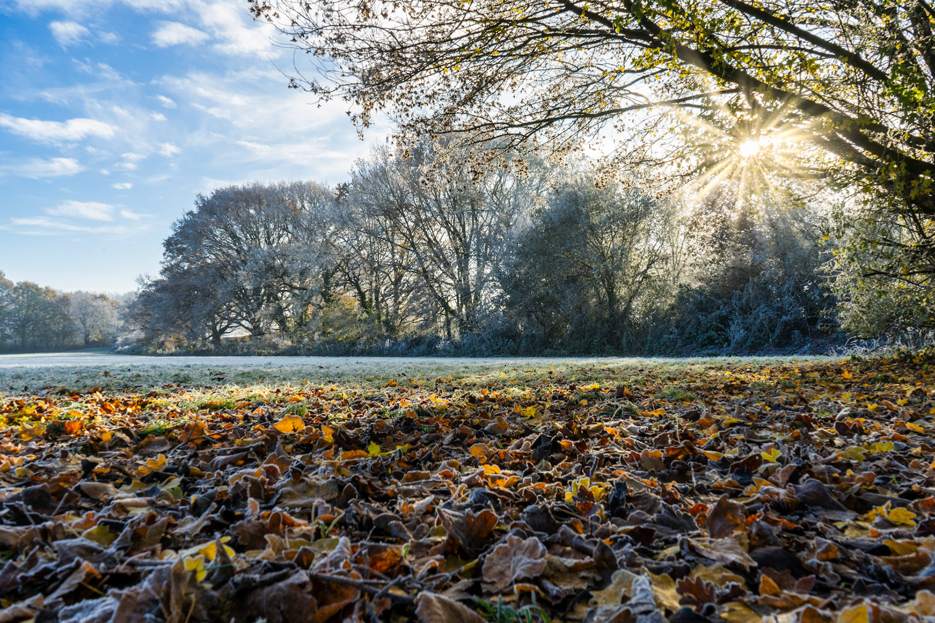 Winter Sunrise in Hedge End, Hampshire, UK (HA048)