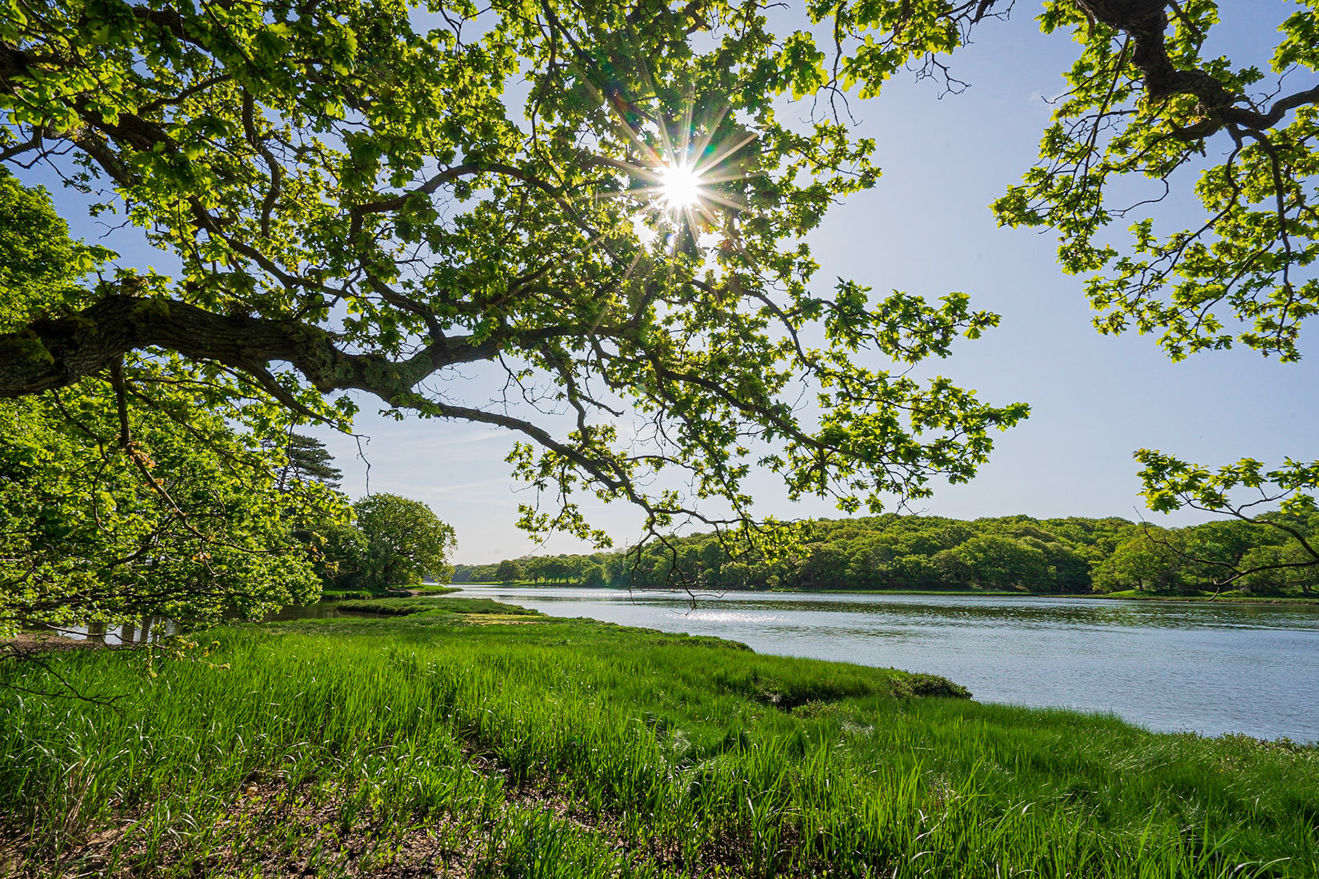 Morning on the River Hamble, Hampshire, UK (HA068)