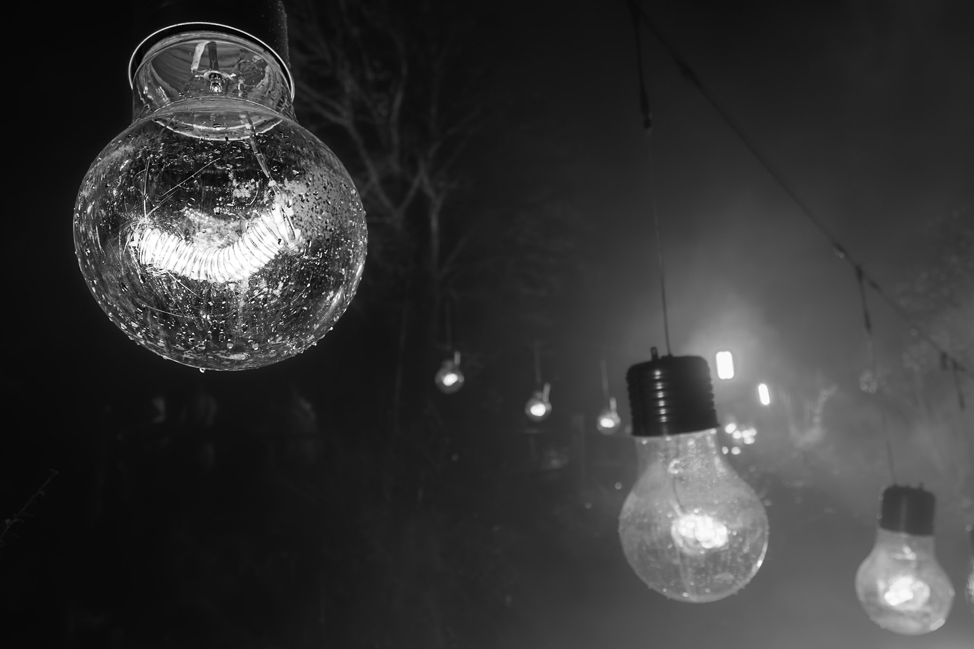 Christmas Lights at Hillier Gardens, Hampshire, UK