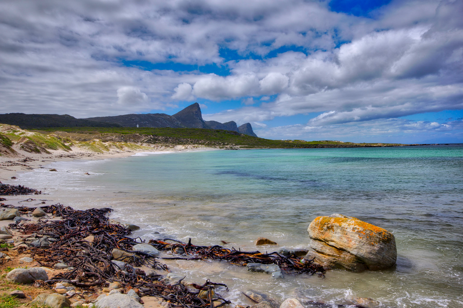 Buffels Bay near Cape Point, Western Cape, South Africa (SA058)