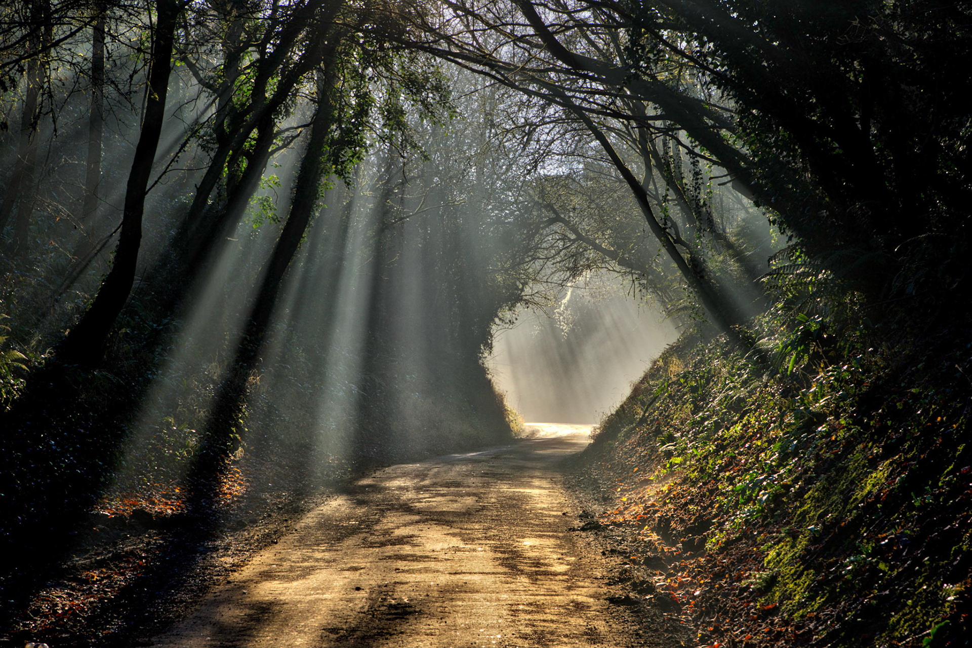 Winter Sun on the Road up to Pickett Hill from Edington, Wiltshire, UK (UK010)