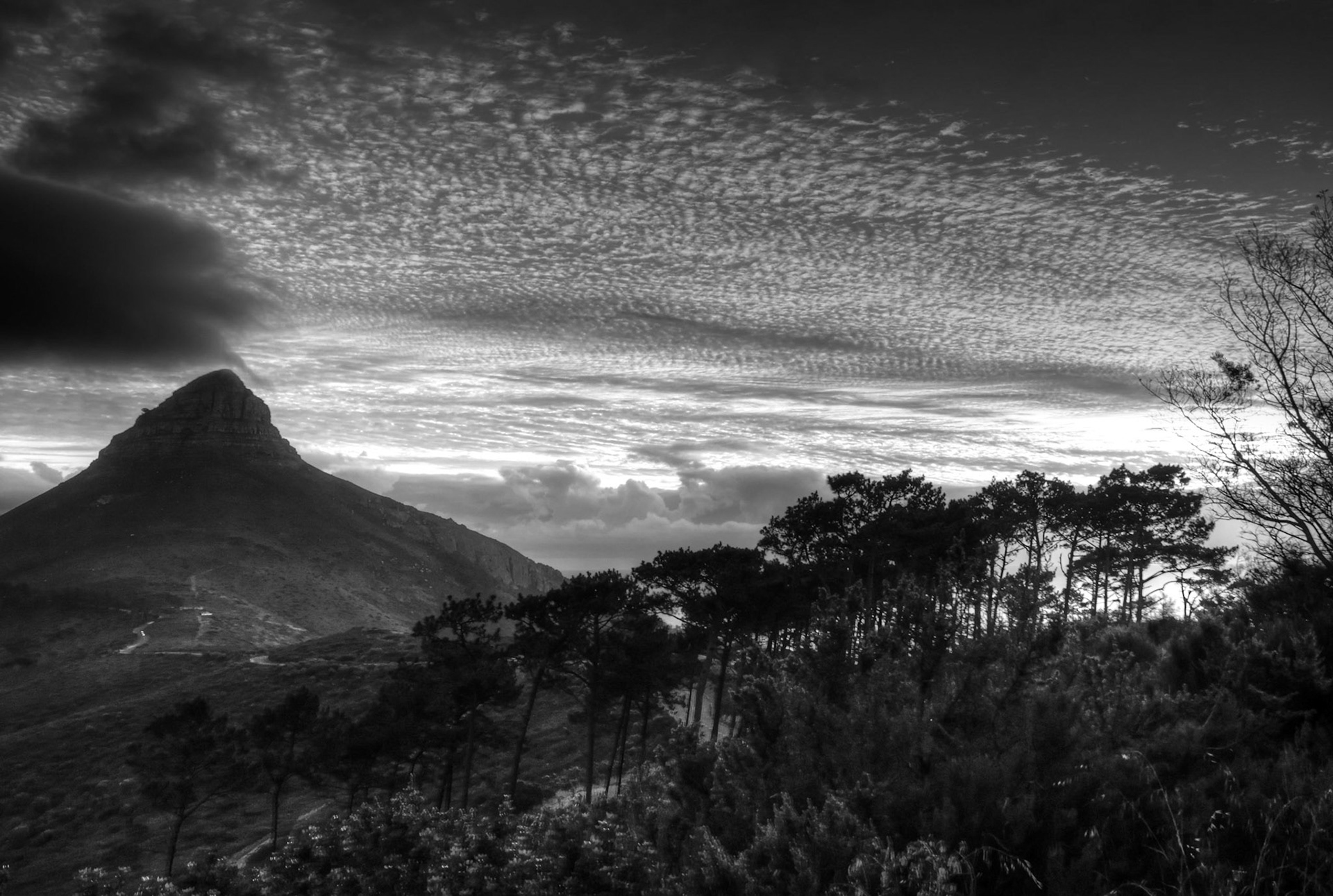 Lions Head from Signal Hill, Cape Town, South Africa (SA006)
