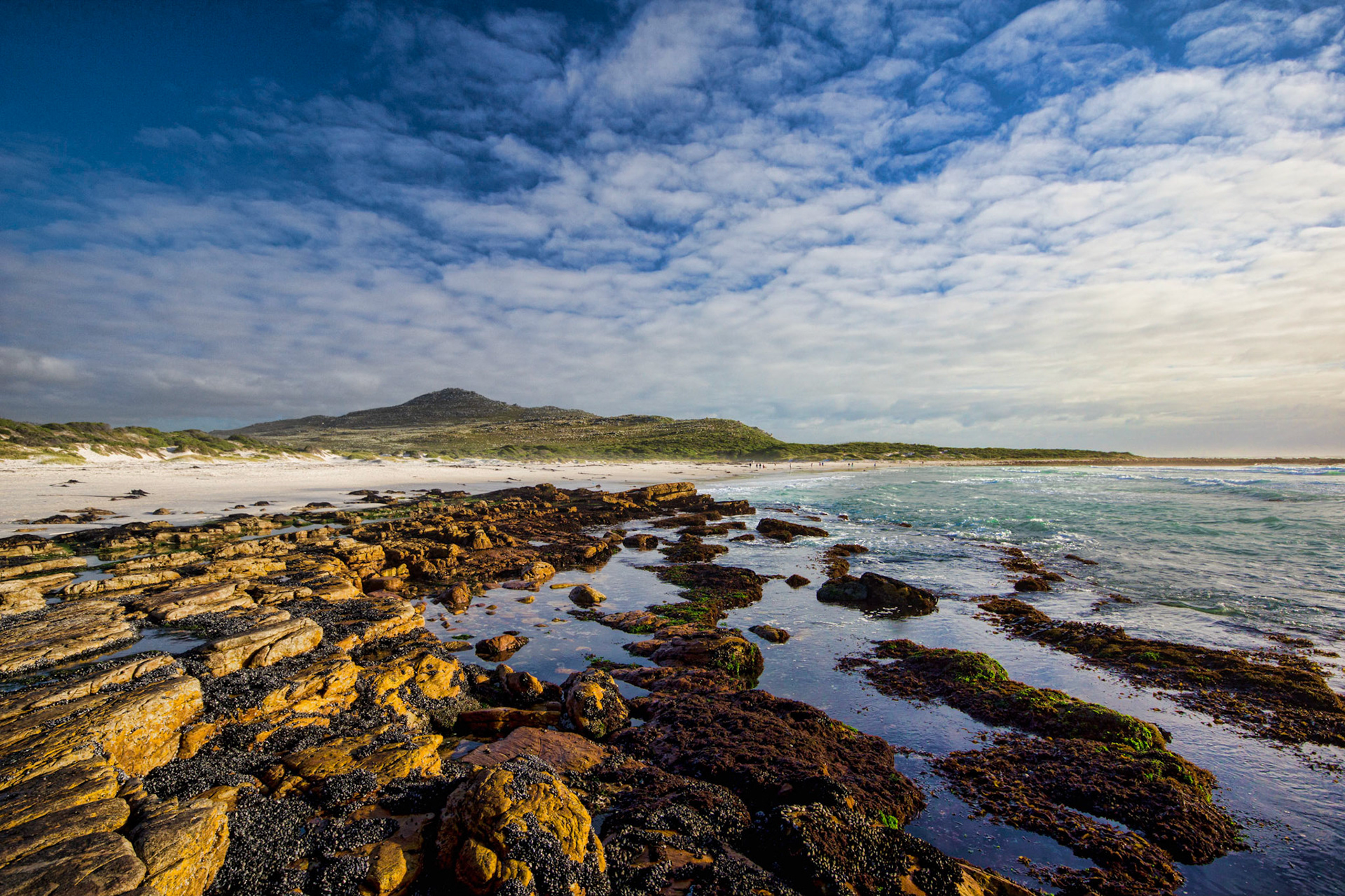 Scarborough Beach, Western Cape, South Africa (SA023)