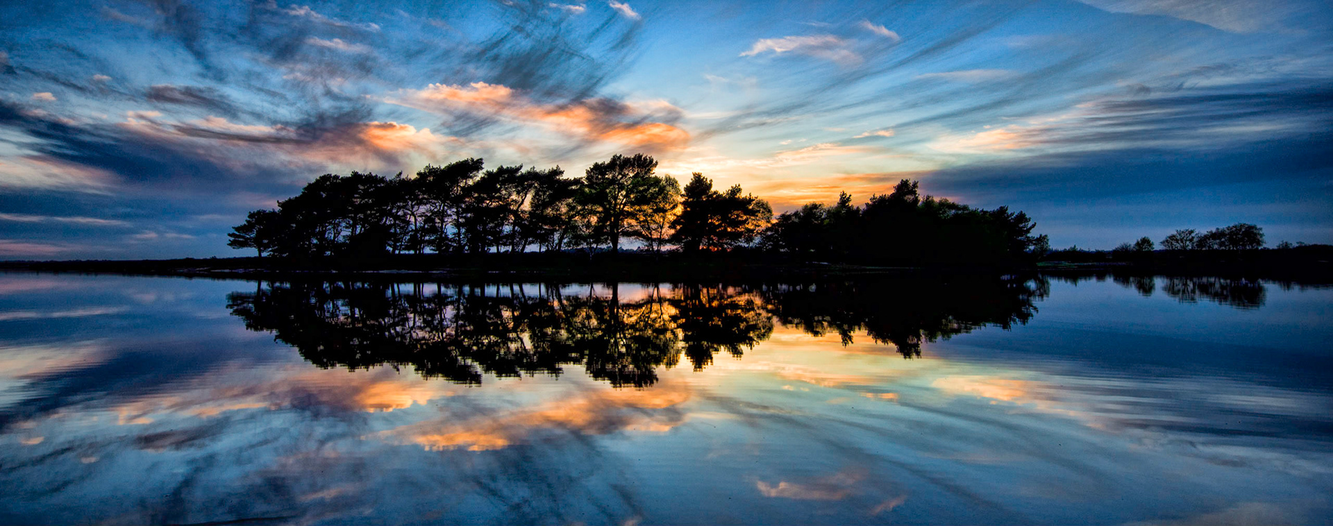 Hatchet Pond, New Forest, Hampshire, UK (HA013)