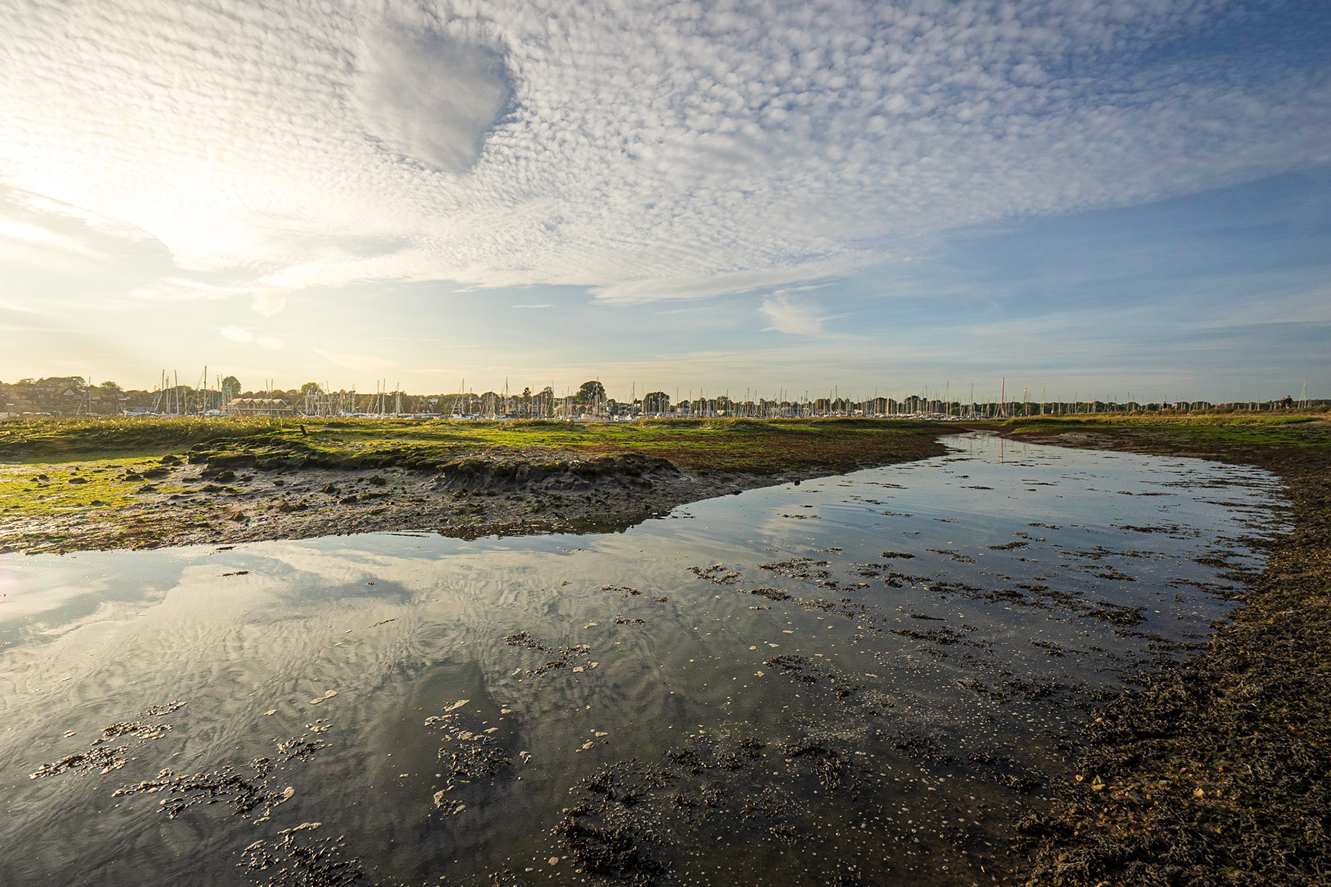 Low Tide on the Hamble River near Warsash, Hampshire, UK (HA072)