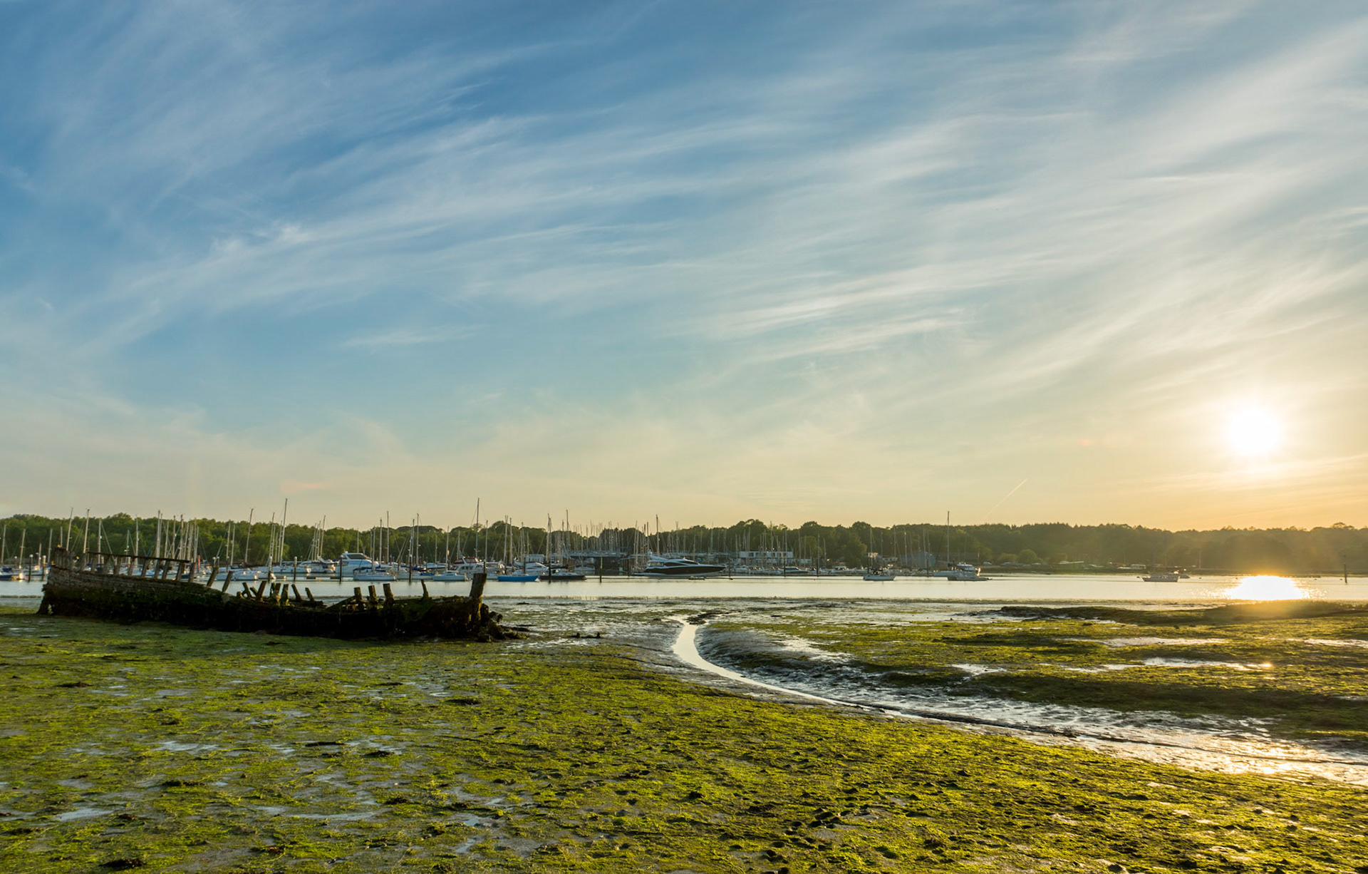 Shipwreck on the River Hamble near Lower Swanwick, Hampshire, UK (HA044)