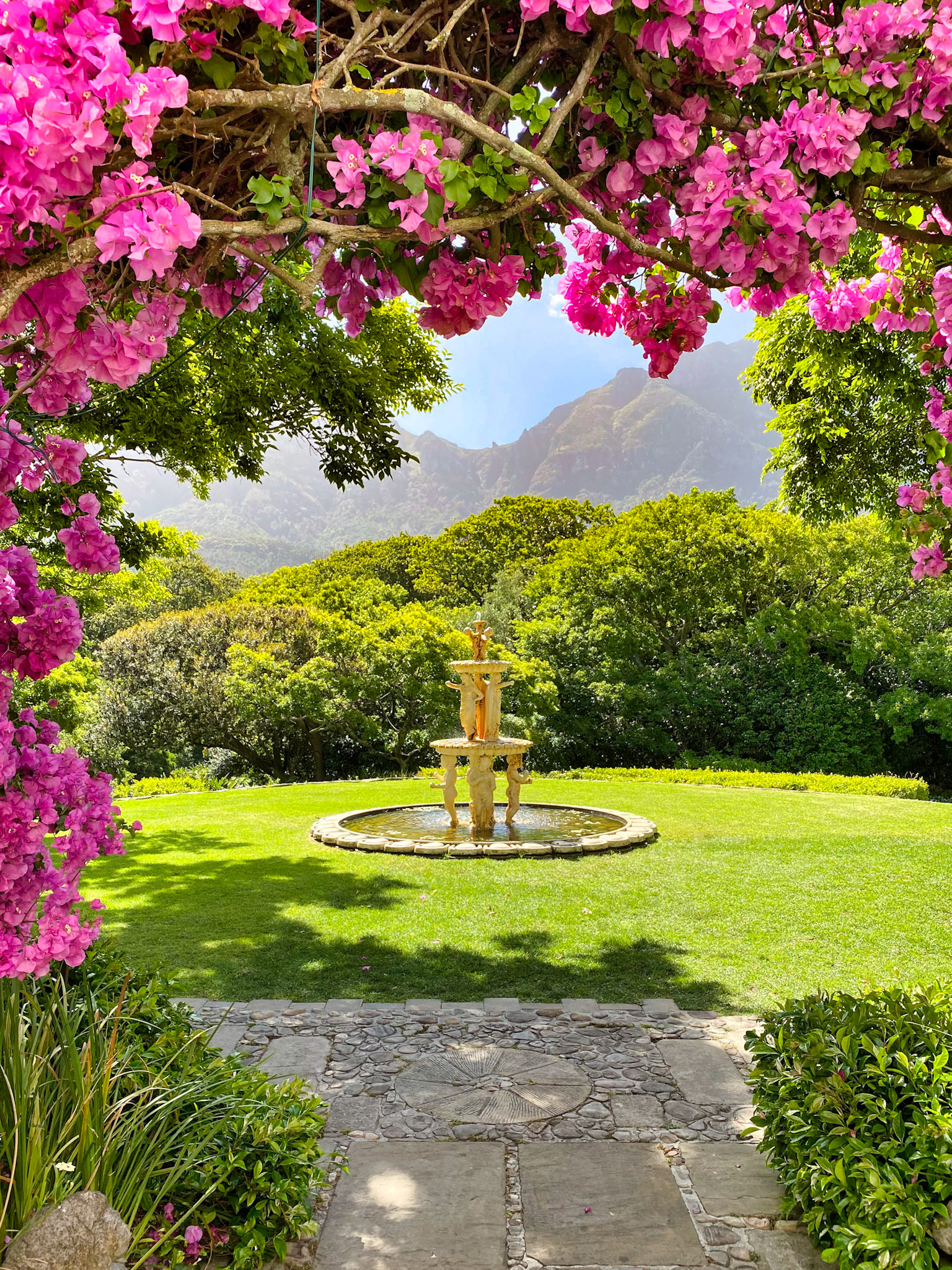 Garden of the Vineyard Hotel, Cape Town, South Africa (SA075)