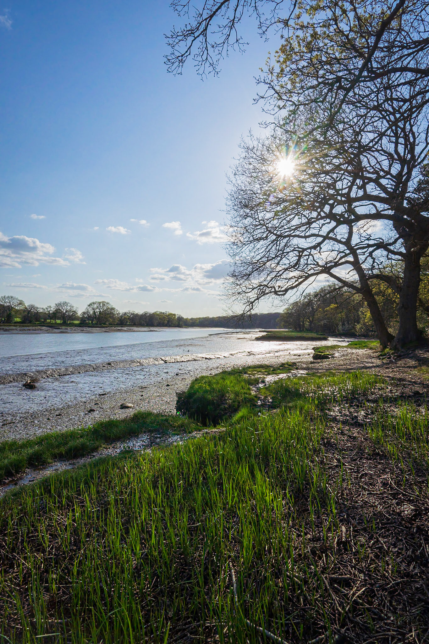 Late Spring Afternoon at Manor Farm, Hampshire, UK (HA066)