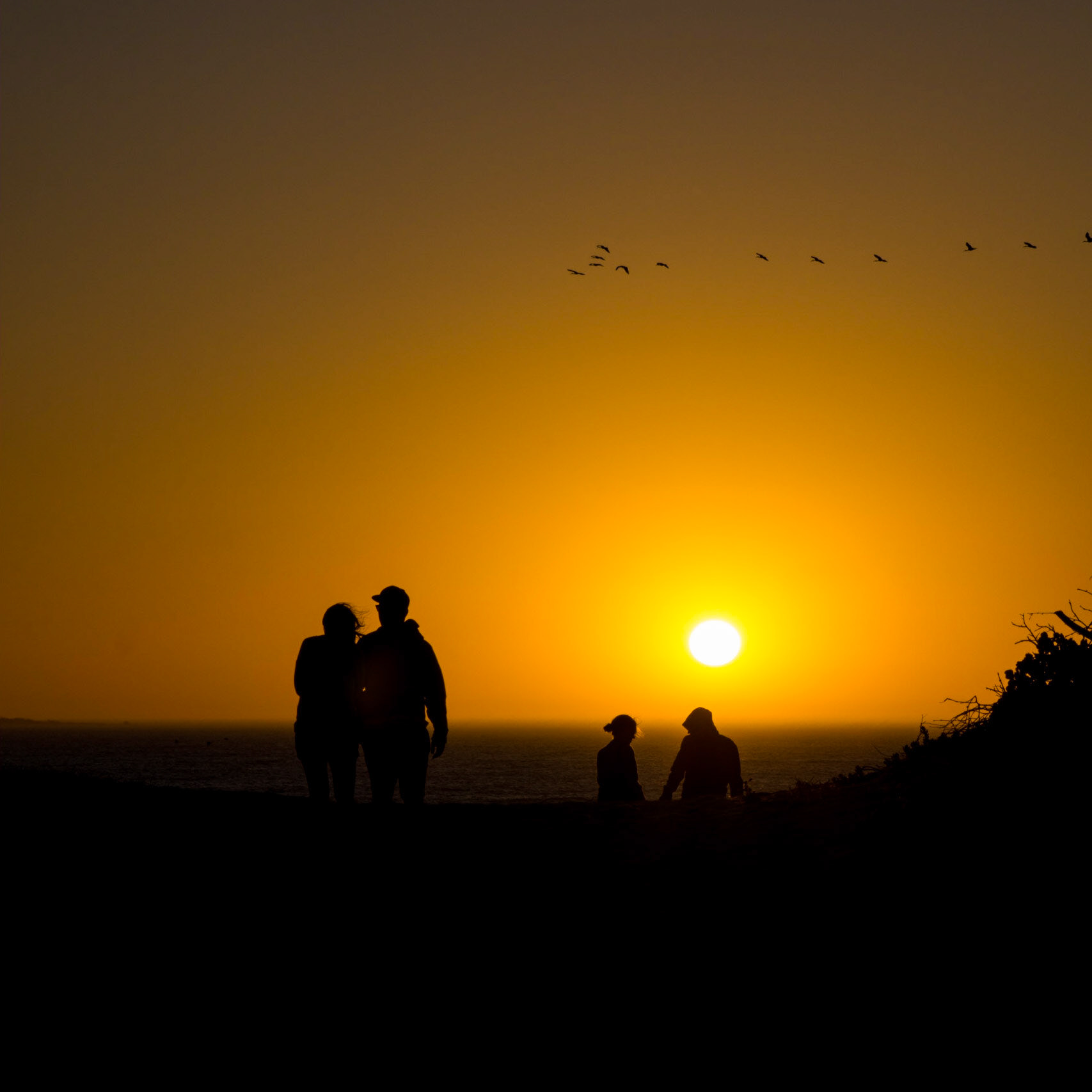 Couples Walking at Sunset near Melkbosstrand, Cape Town, South Africa (SA065)