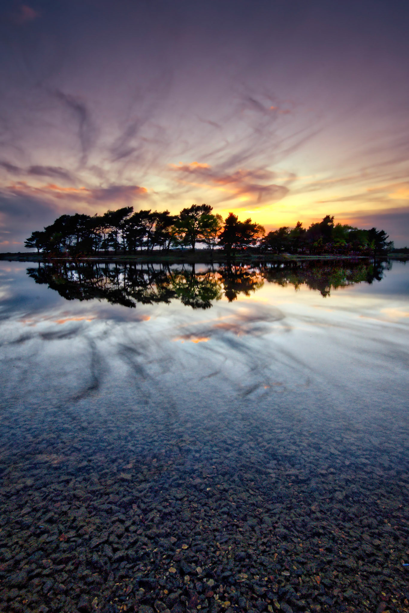 Hatchet Pond, New Forest, Hampshire, UK (HA014)