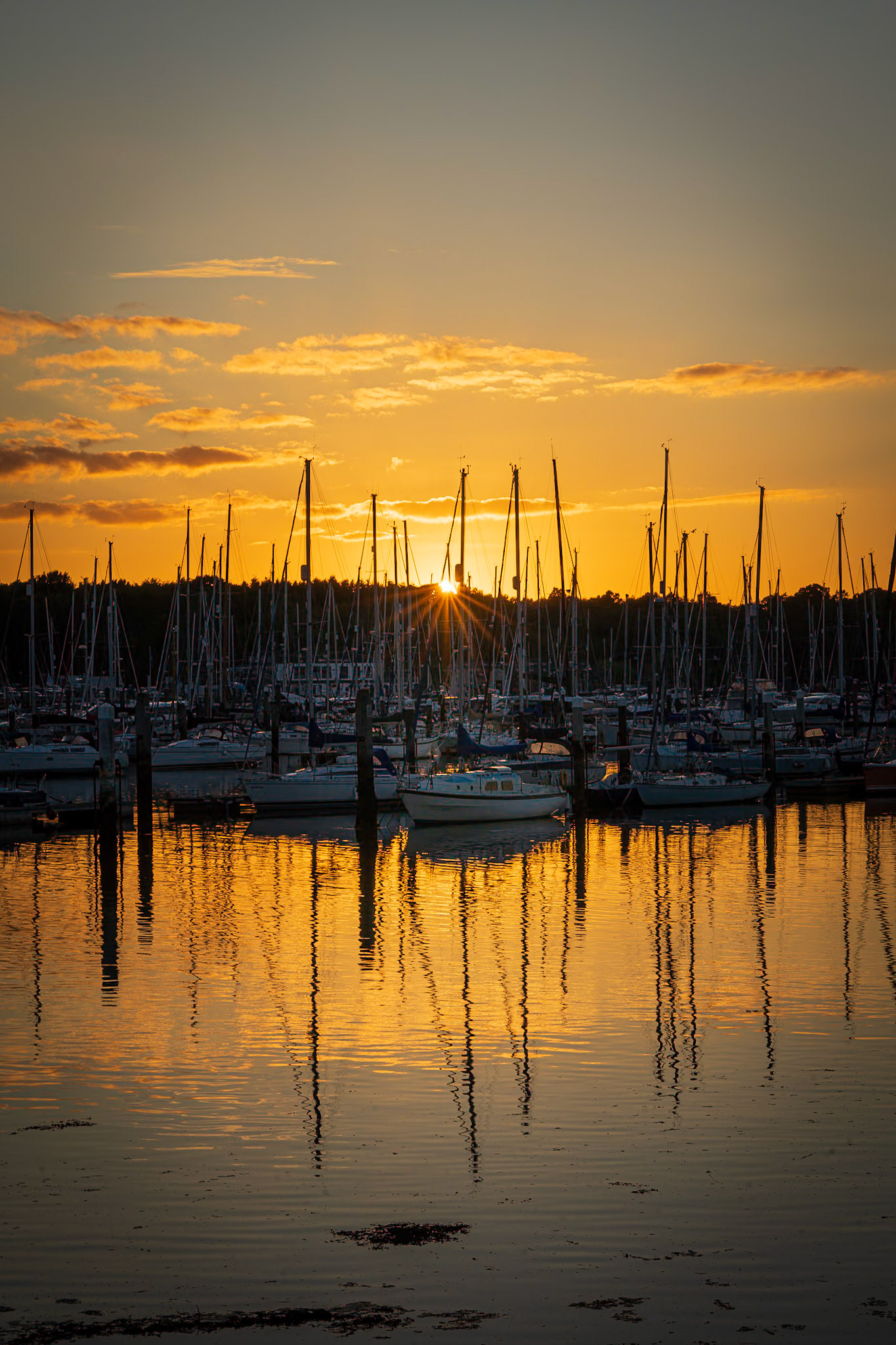 Sunset over a Marina on the River Hamble, Hampshire, UK (HA078)