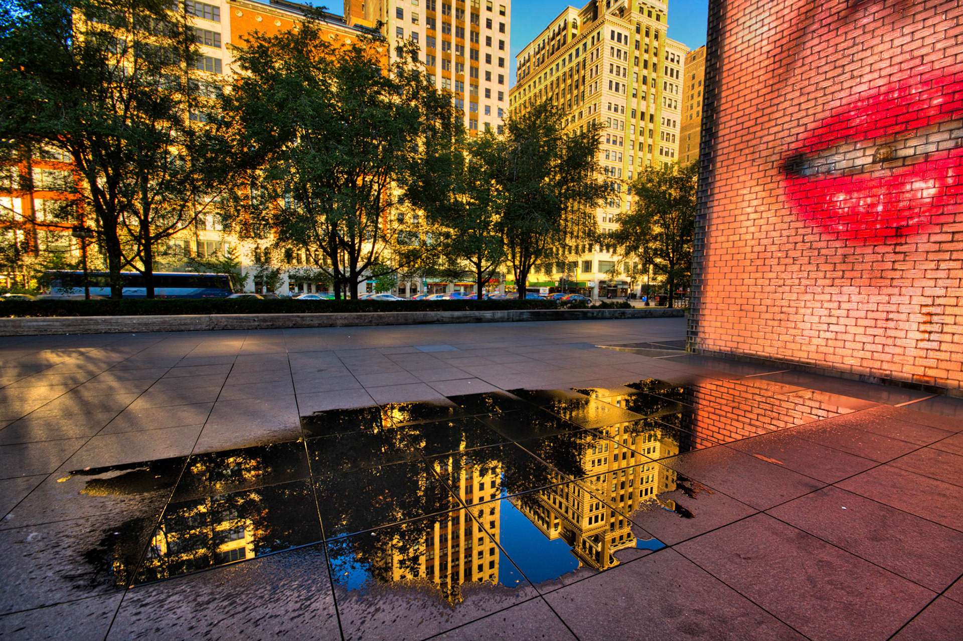Art Installation and Reflections in a Puddle in Chicago, USA (RW043)
