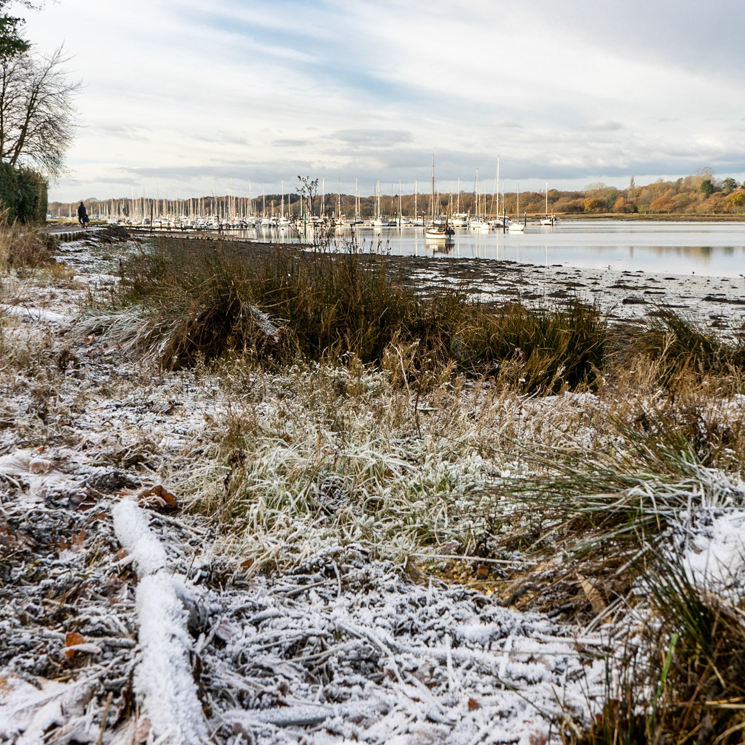 An Icy Morning on the River Hamble near Lower Swanwick, Hampshire, UK (HA054)