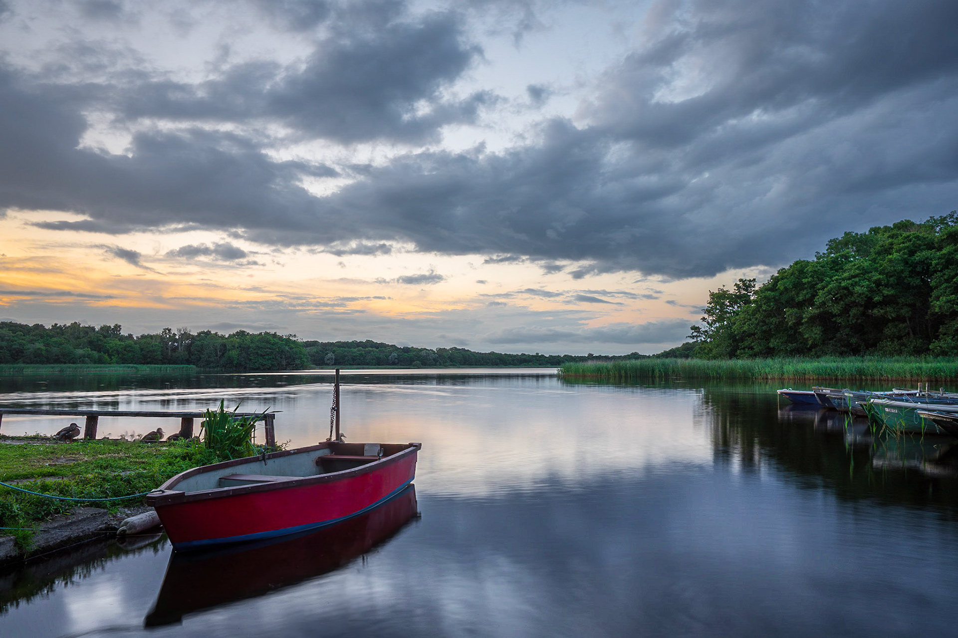 Filby Broads, Norfolk, UK (UK037)