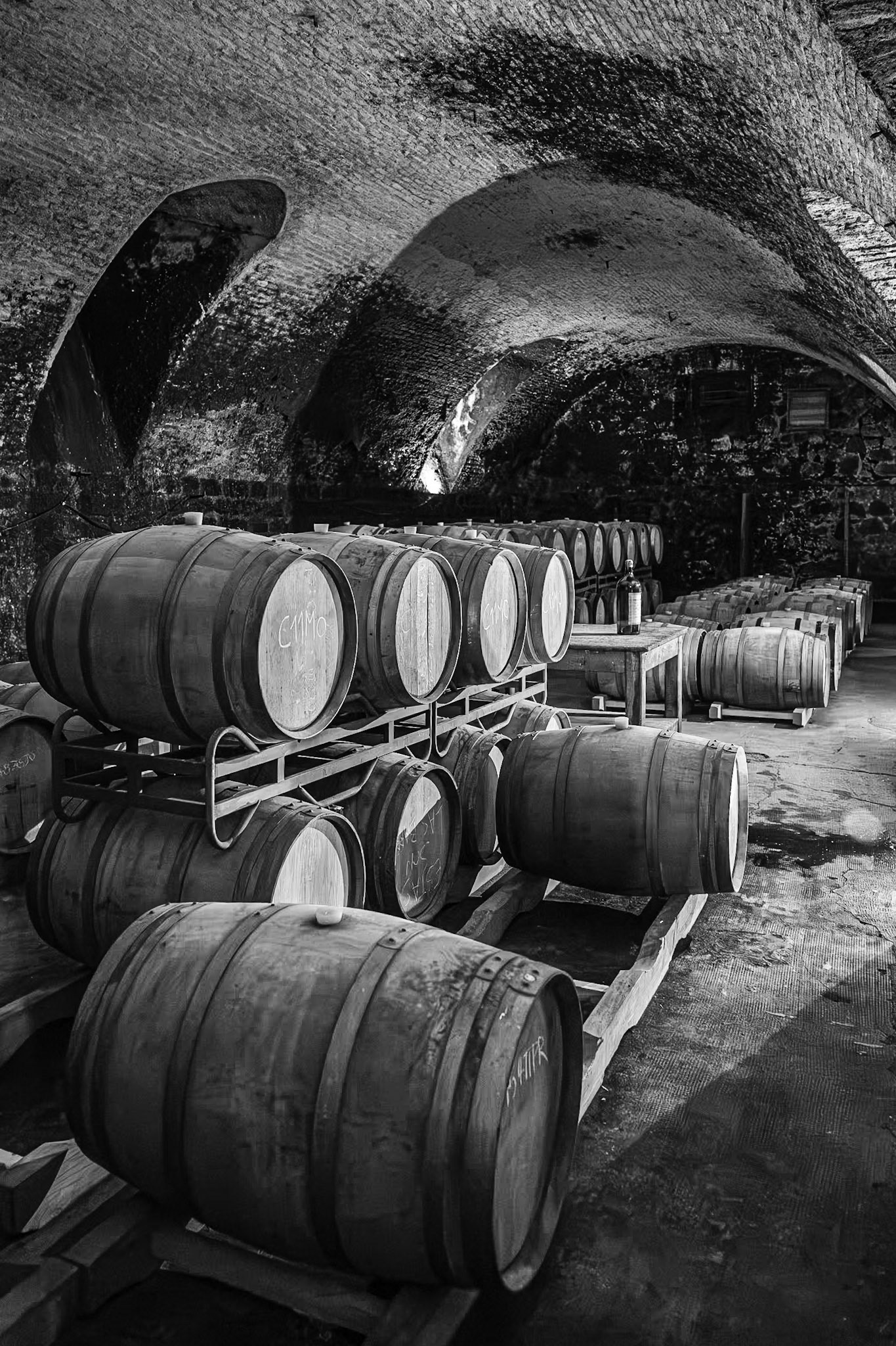 A Wine Cellar at a Bodega near Montevideo, Uruguay (RW100)