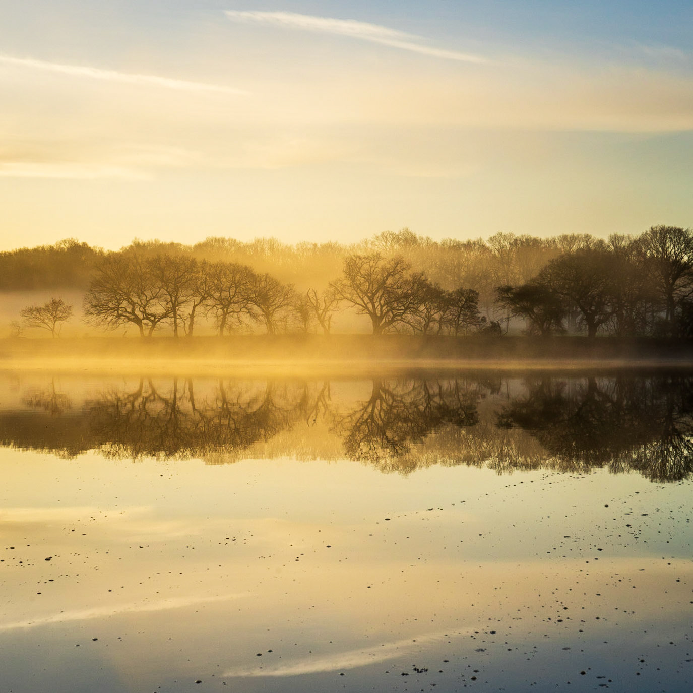 A Foggy Winter Morning on the River Hamble at Manor Farm, Hampshire, UK (HA057)