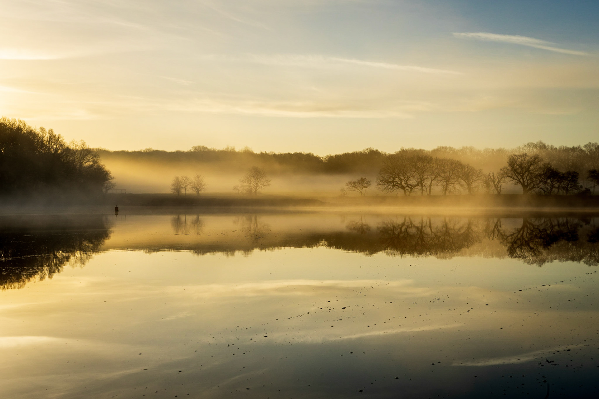 A Foggy Winter Morning on the River Hamble at Manor Farm, Hampshire, UK (HA056)