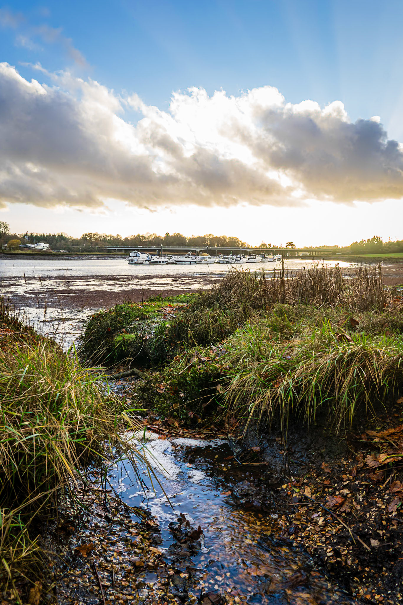Winter Afternoon on the Hamble River, Hampshire, UK (HA076)