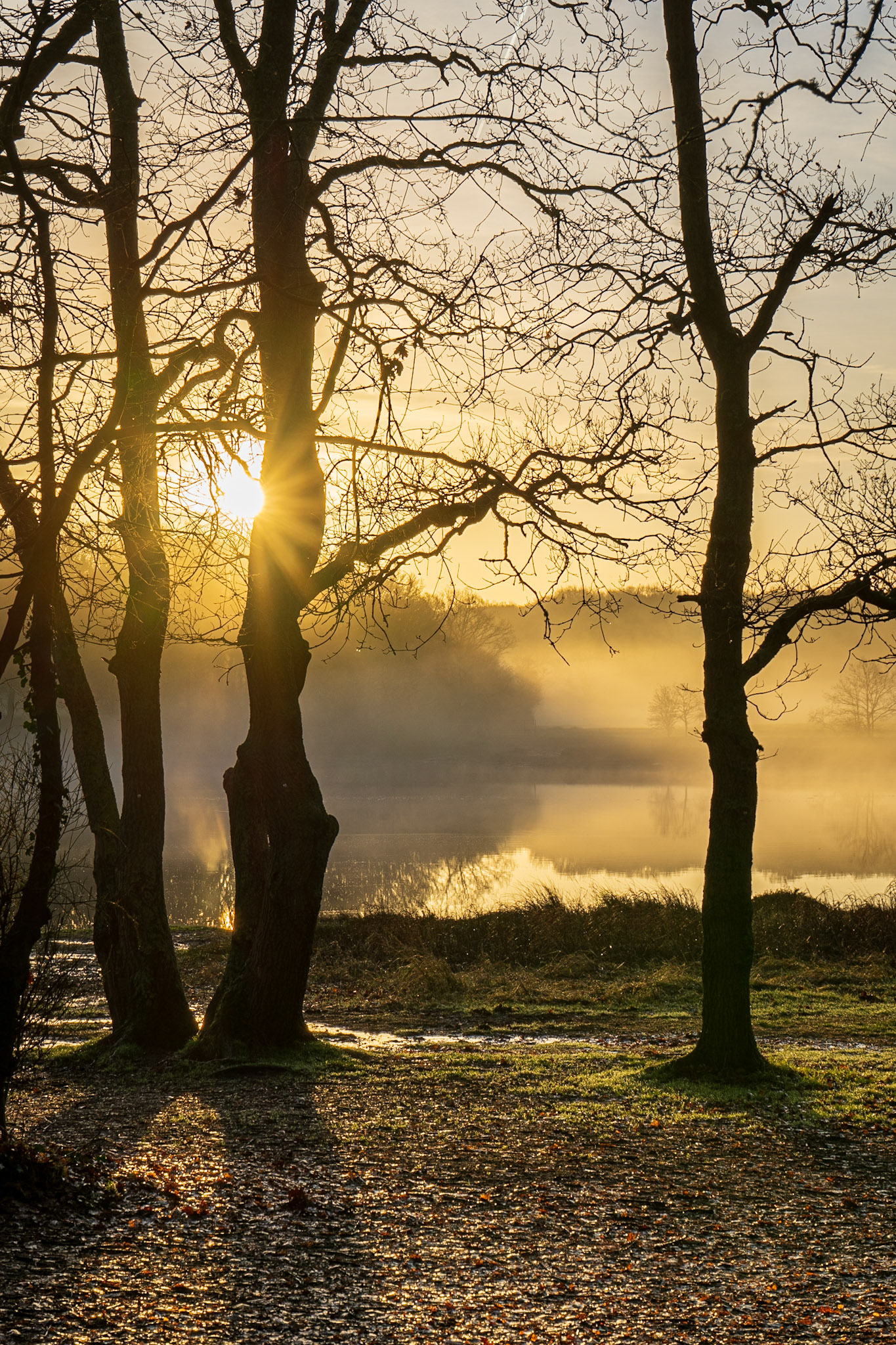 A Misty Winter Morning on the River Hamble at Manor Farm, Hampshire, UK (HA058)