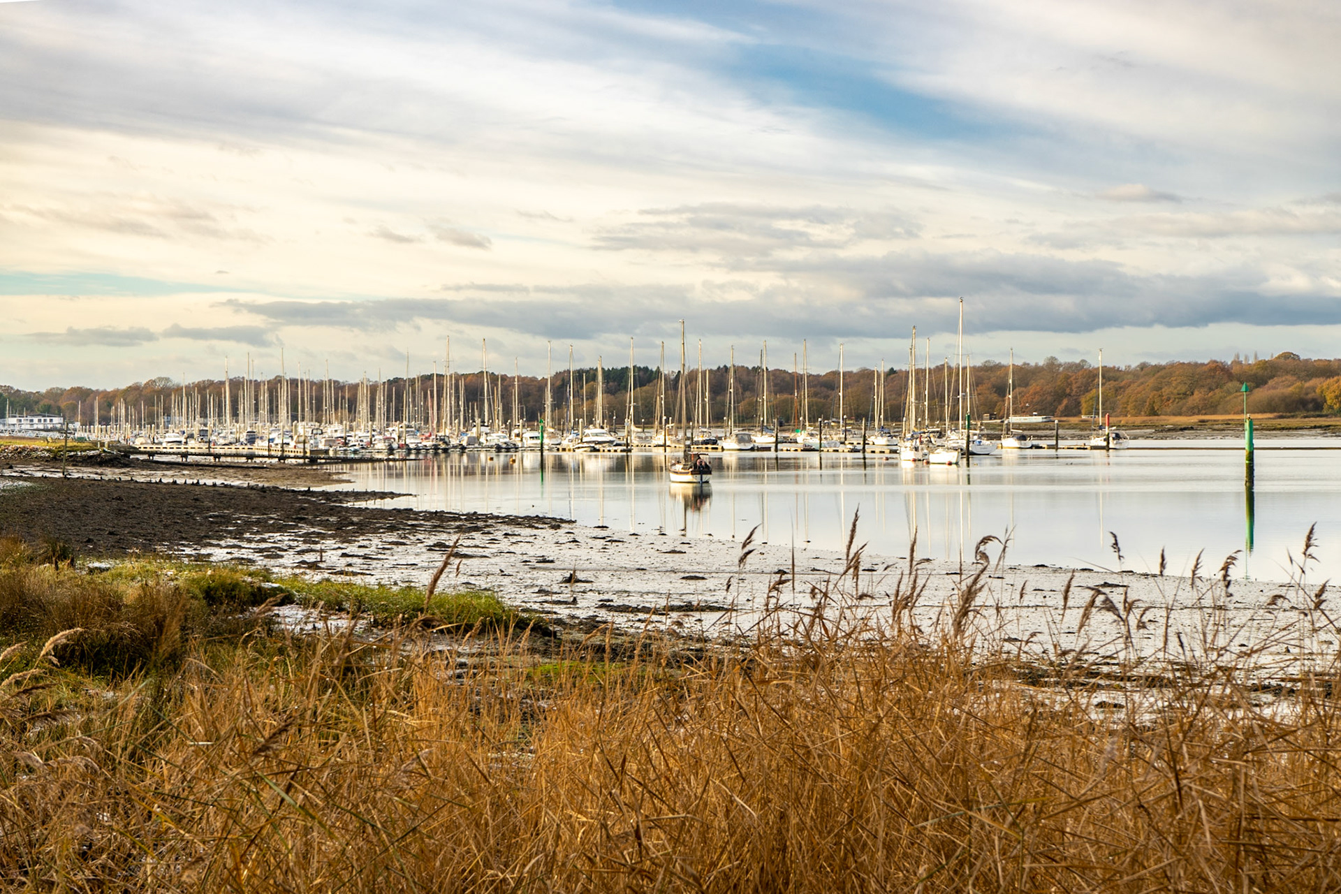 River Hamble near Lower Swanwick, Hampshire, UK (HA053)