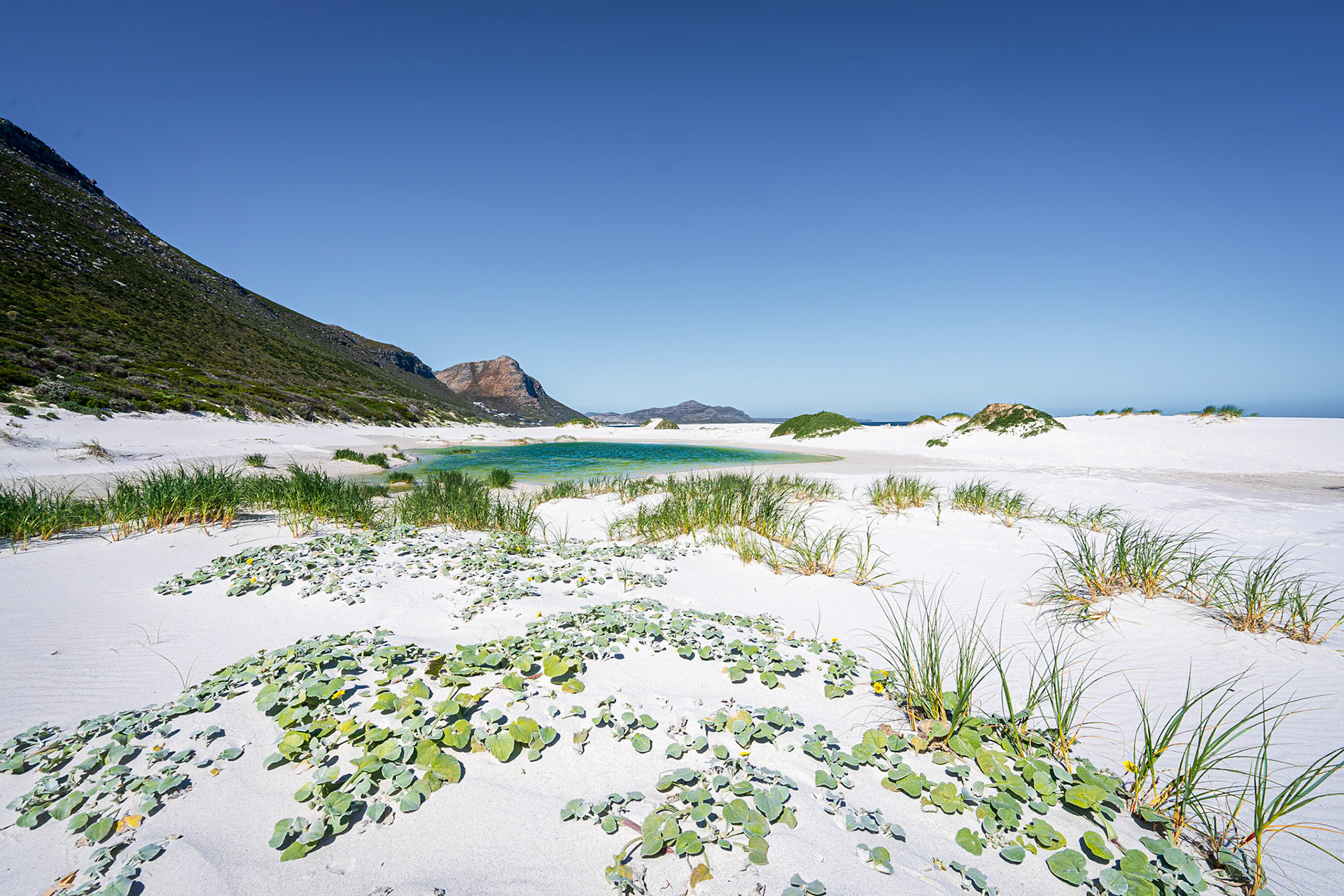 The Beach at Witsand, Cape Town, South Africa (SA079)