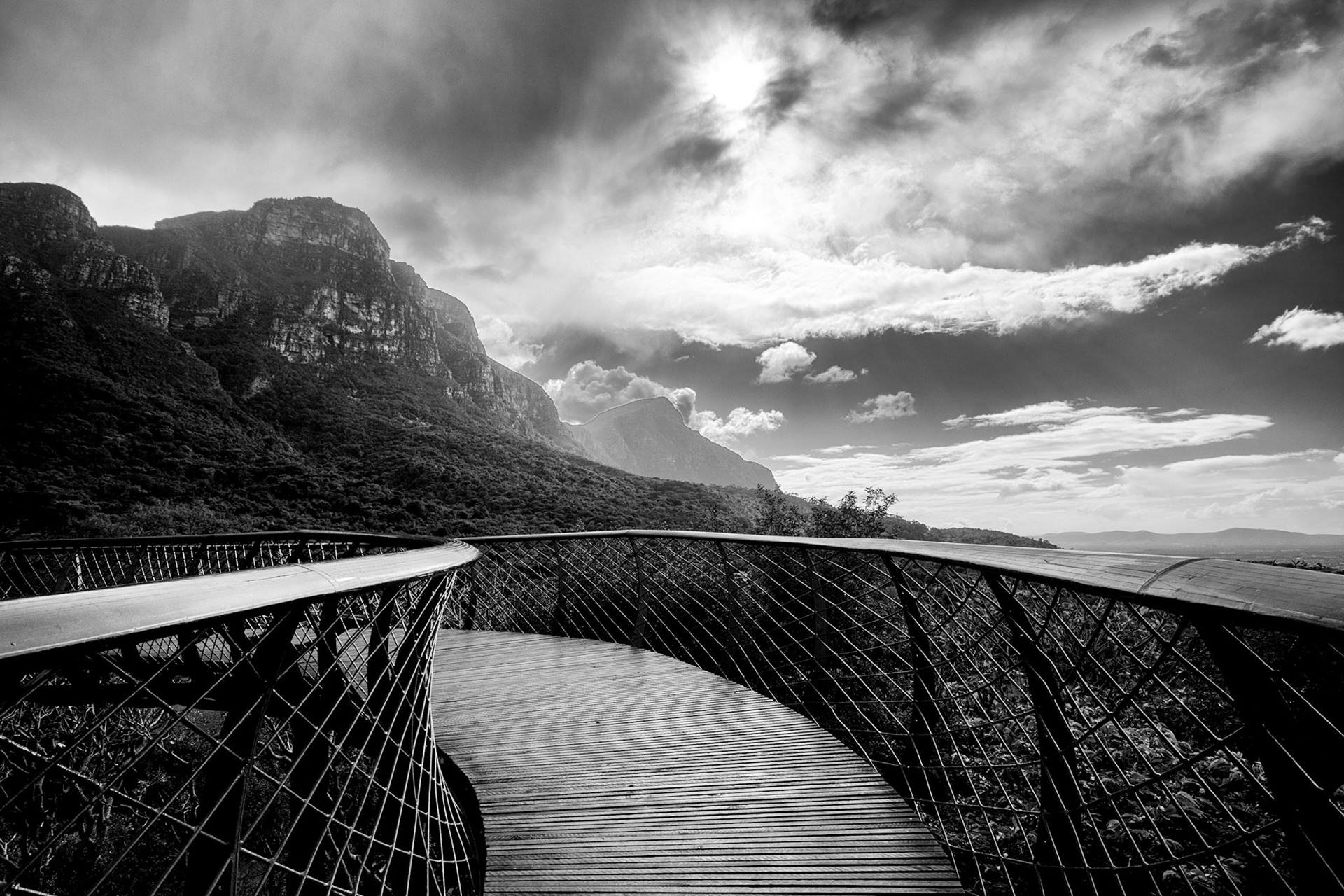 Boomslang Canopy Trail, Kirstenbosch Gardens, Cape Town, South Africa (SA033)