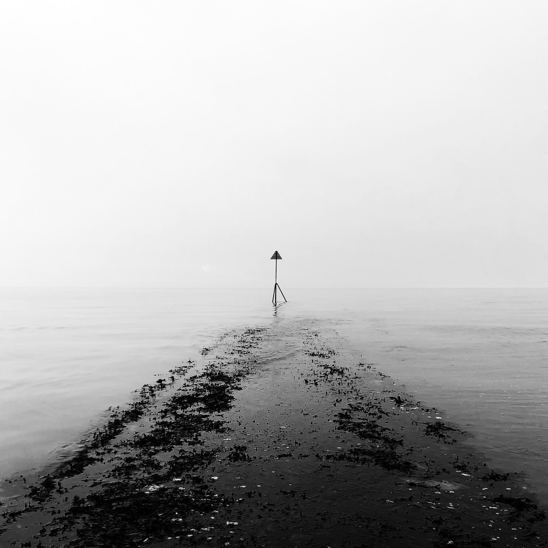 Groyne near Hill Head, Hampshire, UK (UK022)