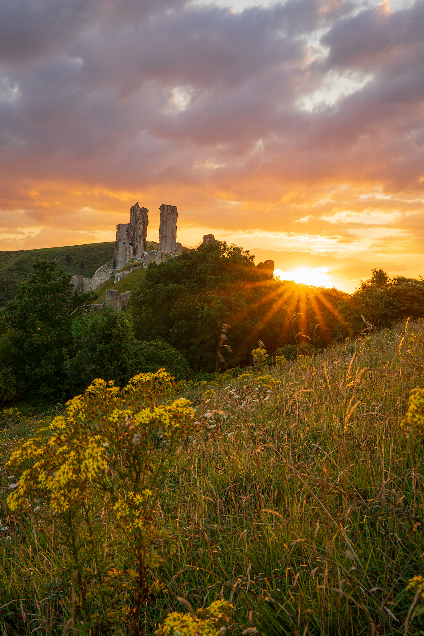 Sunset over Corfe Castle from East Hill, Dorset, UK (UK086)
