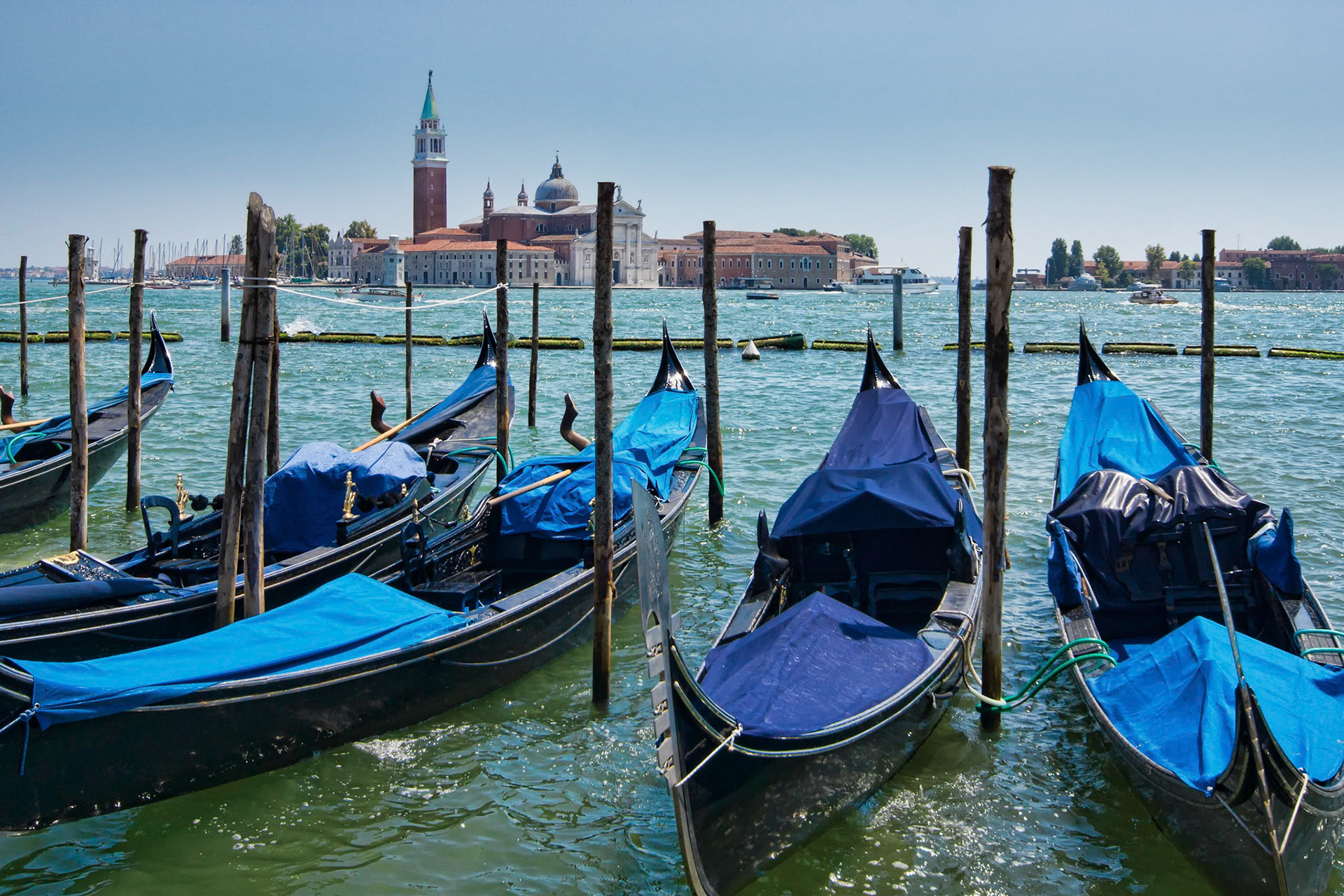 Moored Gondolas in Venice, Italy (EU012)