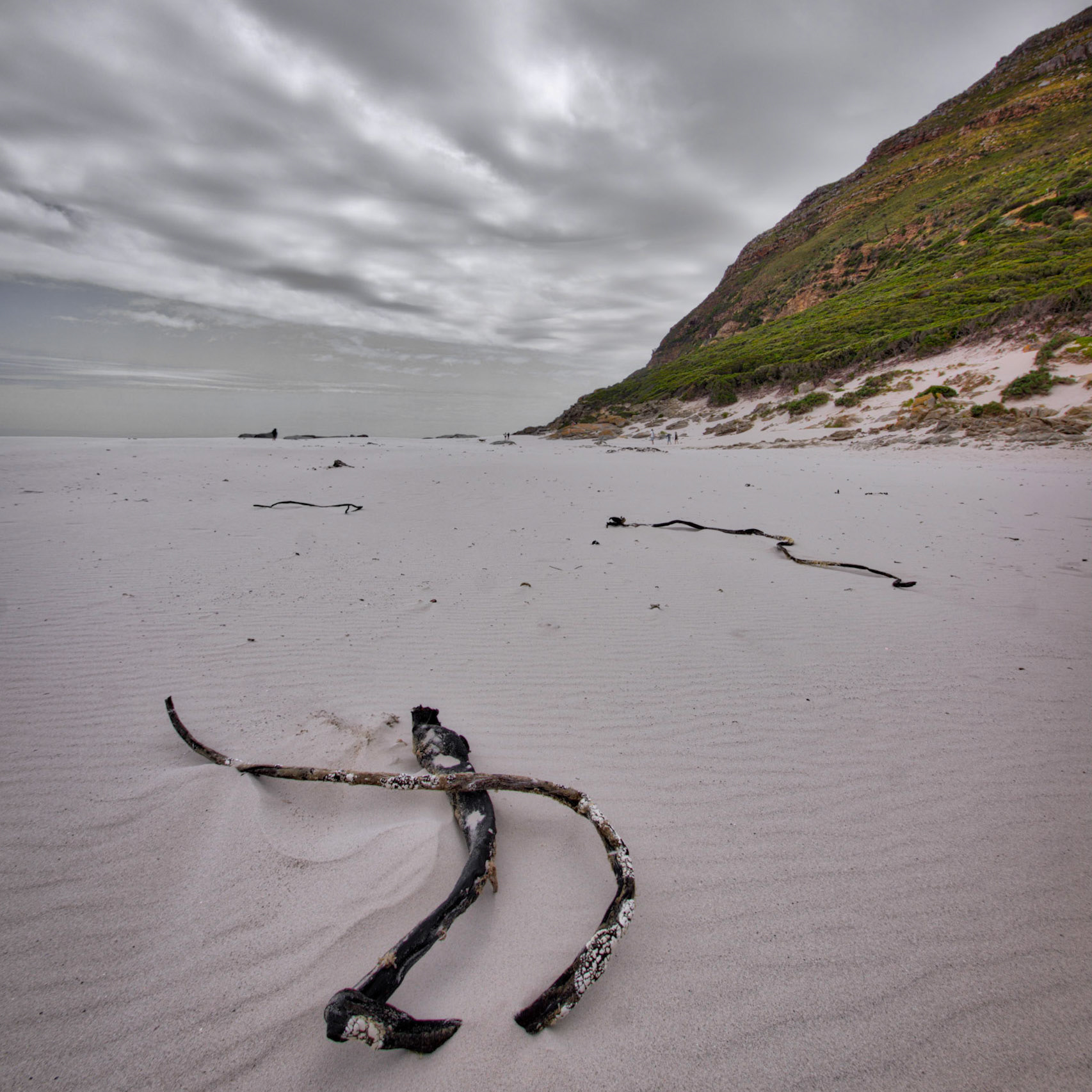 Driftwood on the Beach at Noordhoek, Western Cape, South Africa (SA057)