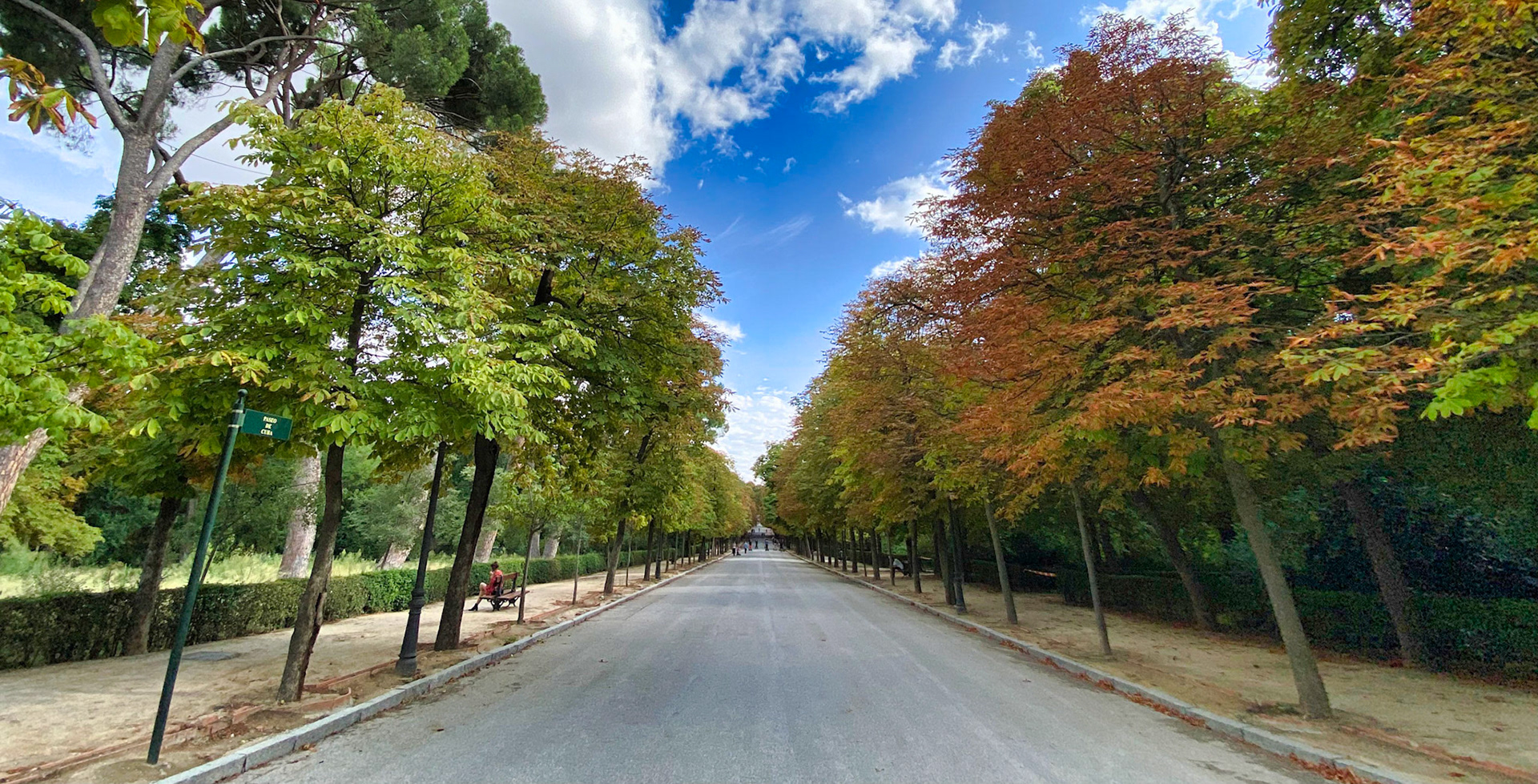 An Avenue in Parque de El Retiro, Madrid, Spain (EU050)