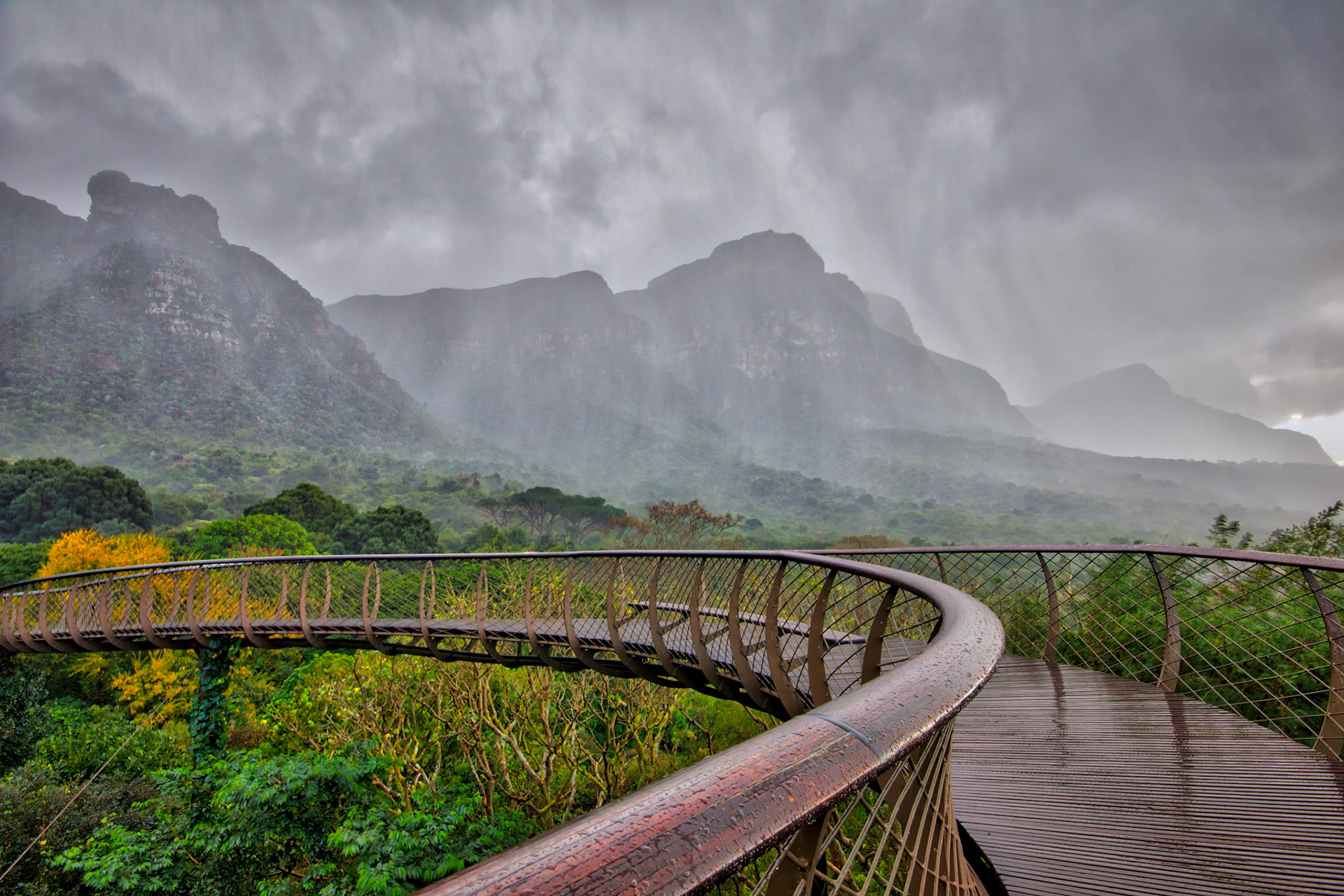 Storm at Boomslang Canopy Trail, Kirstenbosch Gardens, Cape Town, South Africa (SA034)