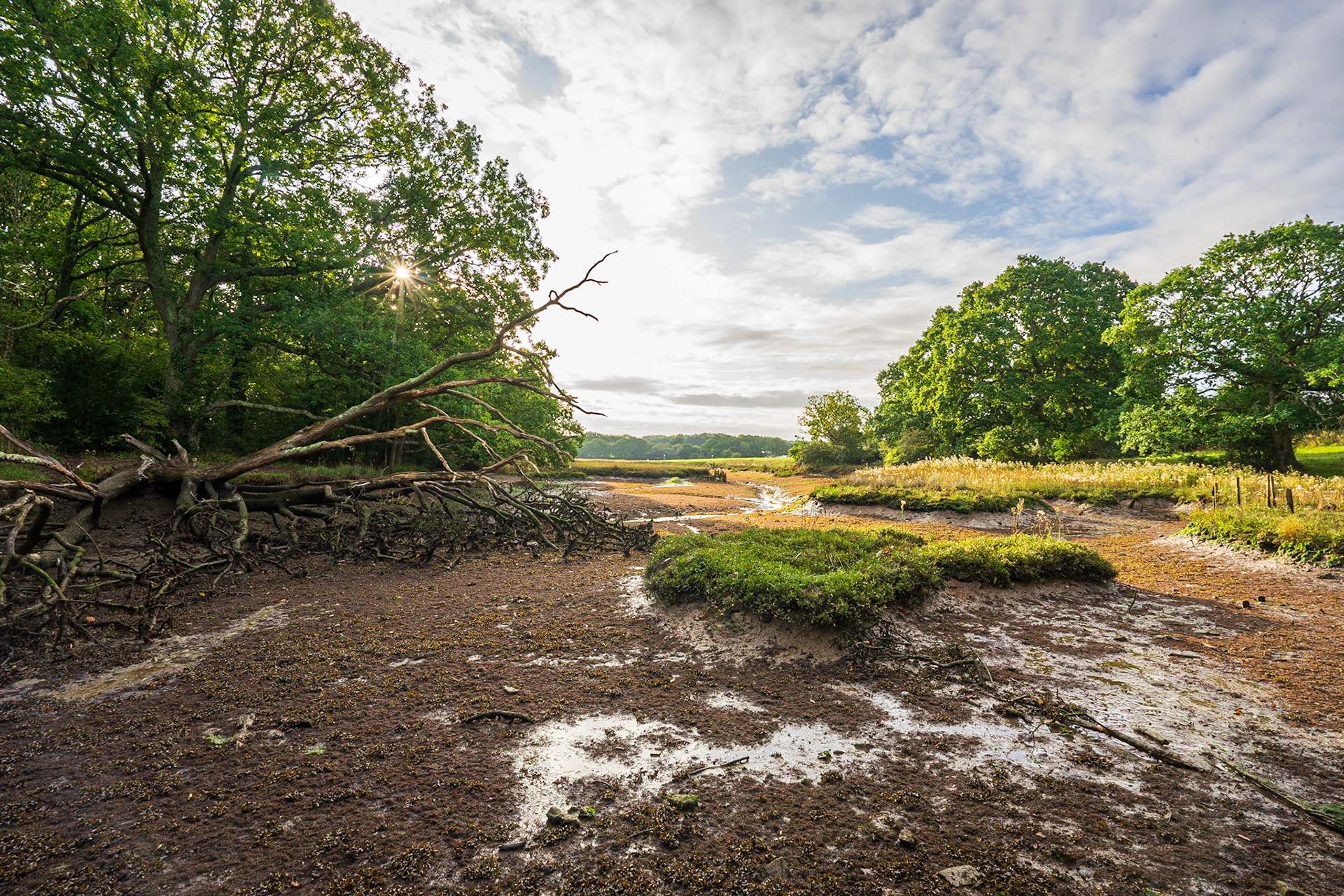 Low Tide at Manor Farm Country Park, Hampshire, UK (HA071)