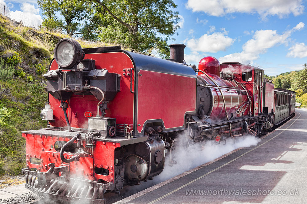 Steam at Beddgelert