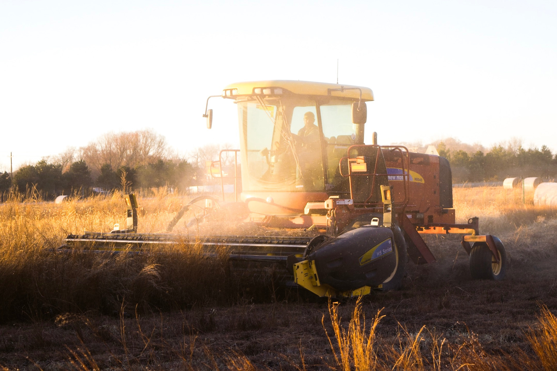 Grain farmer harvesting his crop