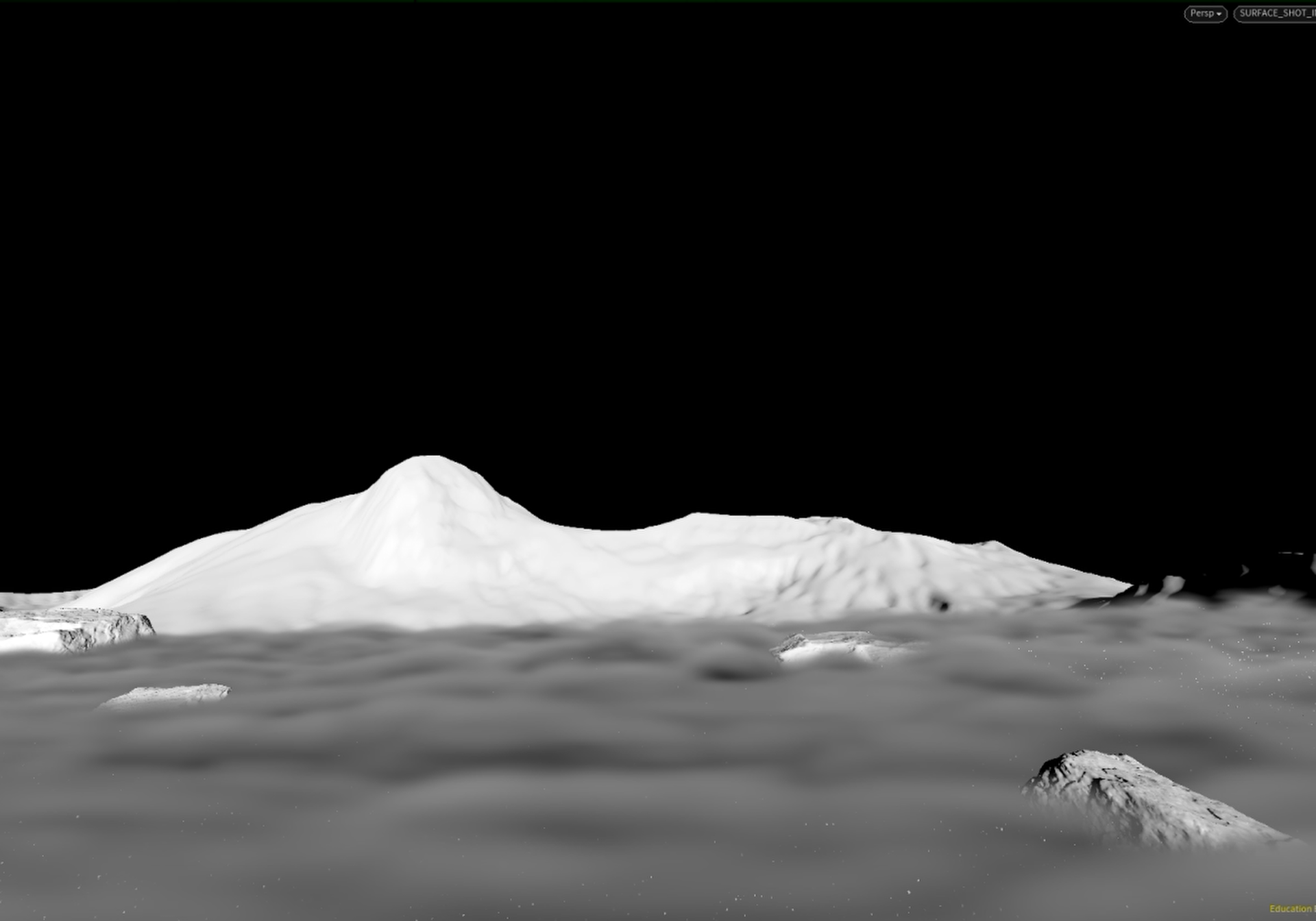Houdini Viewport