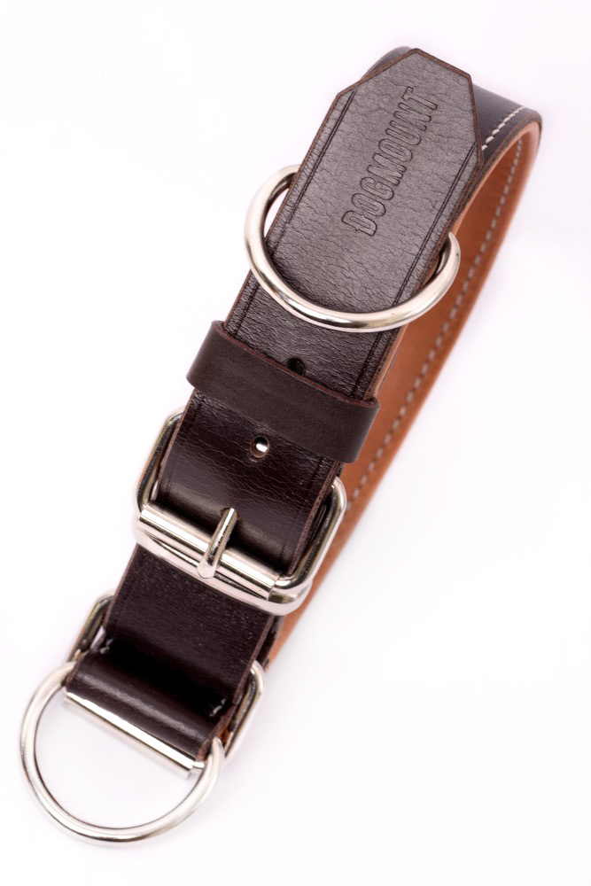 https://www.dogmount.cz/