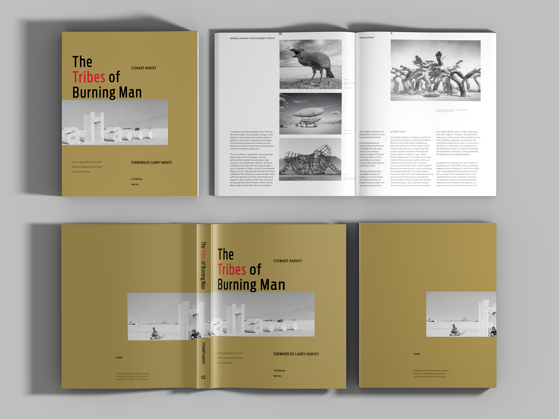 Connie Zhu Contemporary Book Design