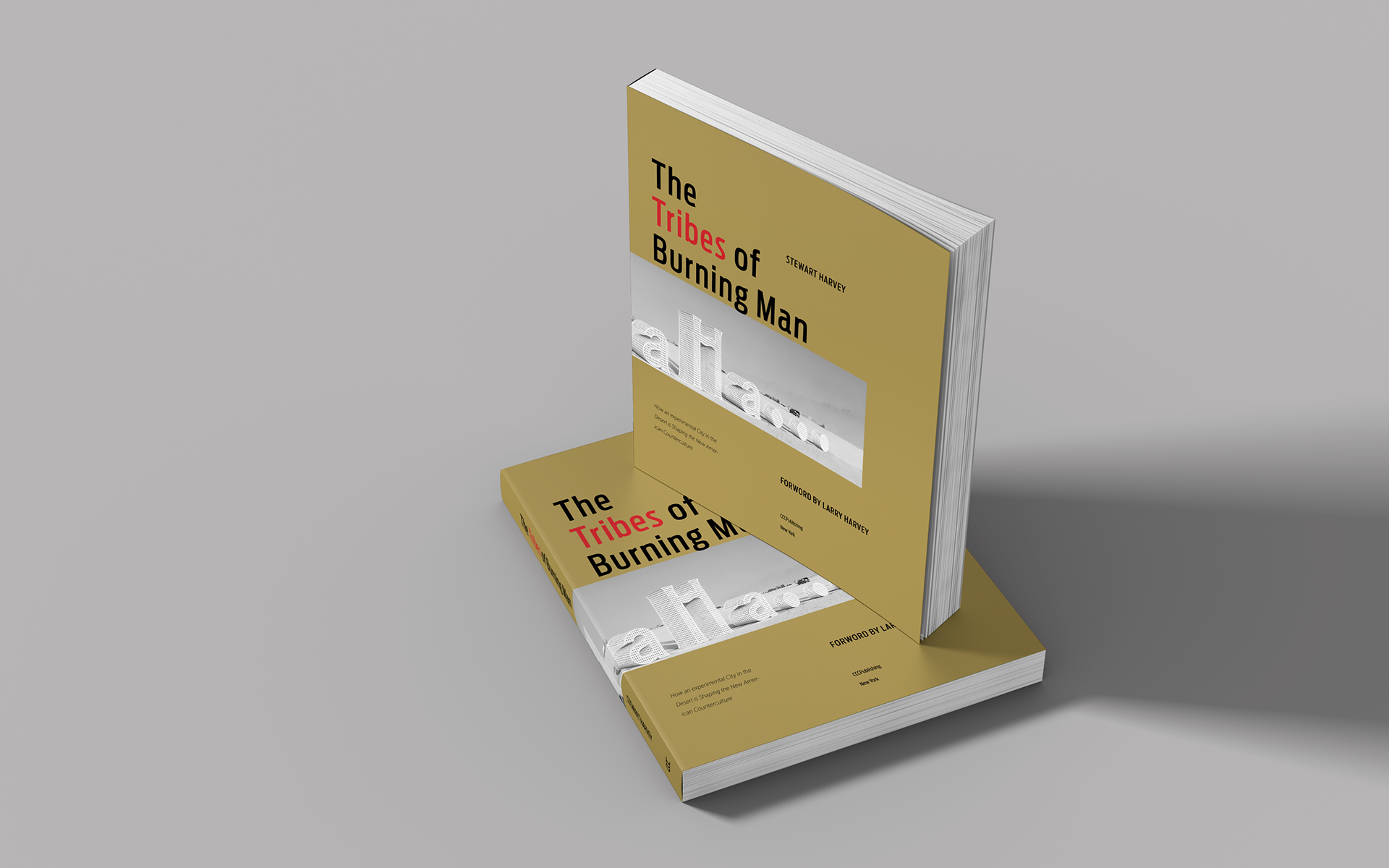 Connie Zhu Contemporary Book Design