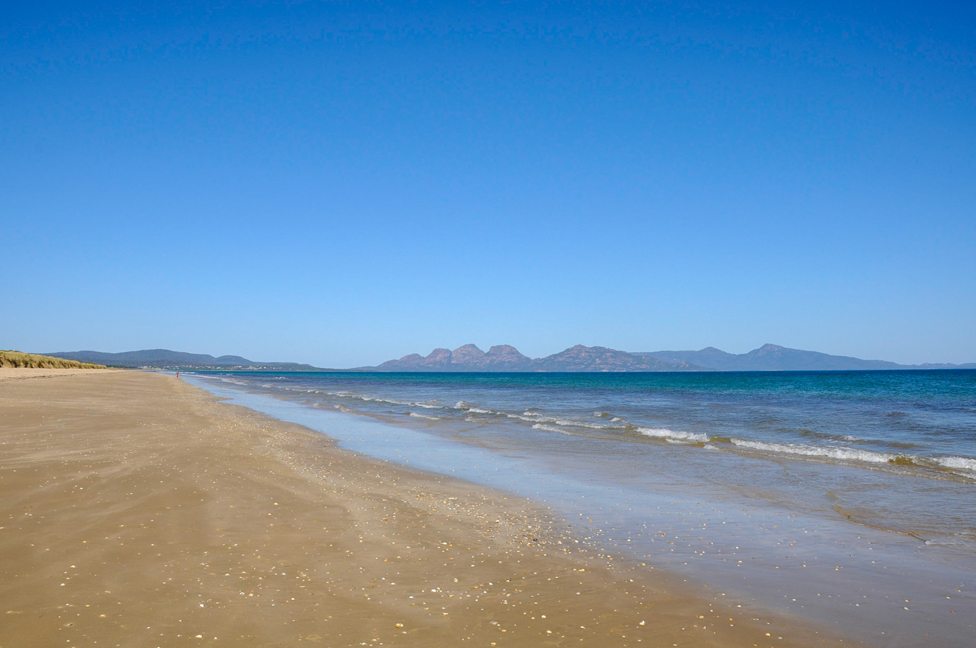 Can you spot the runner?