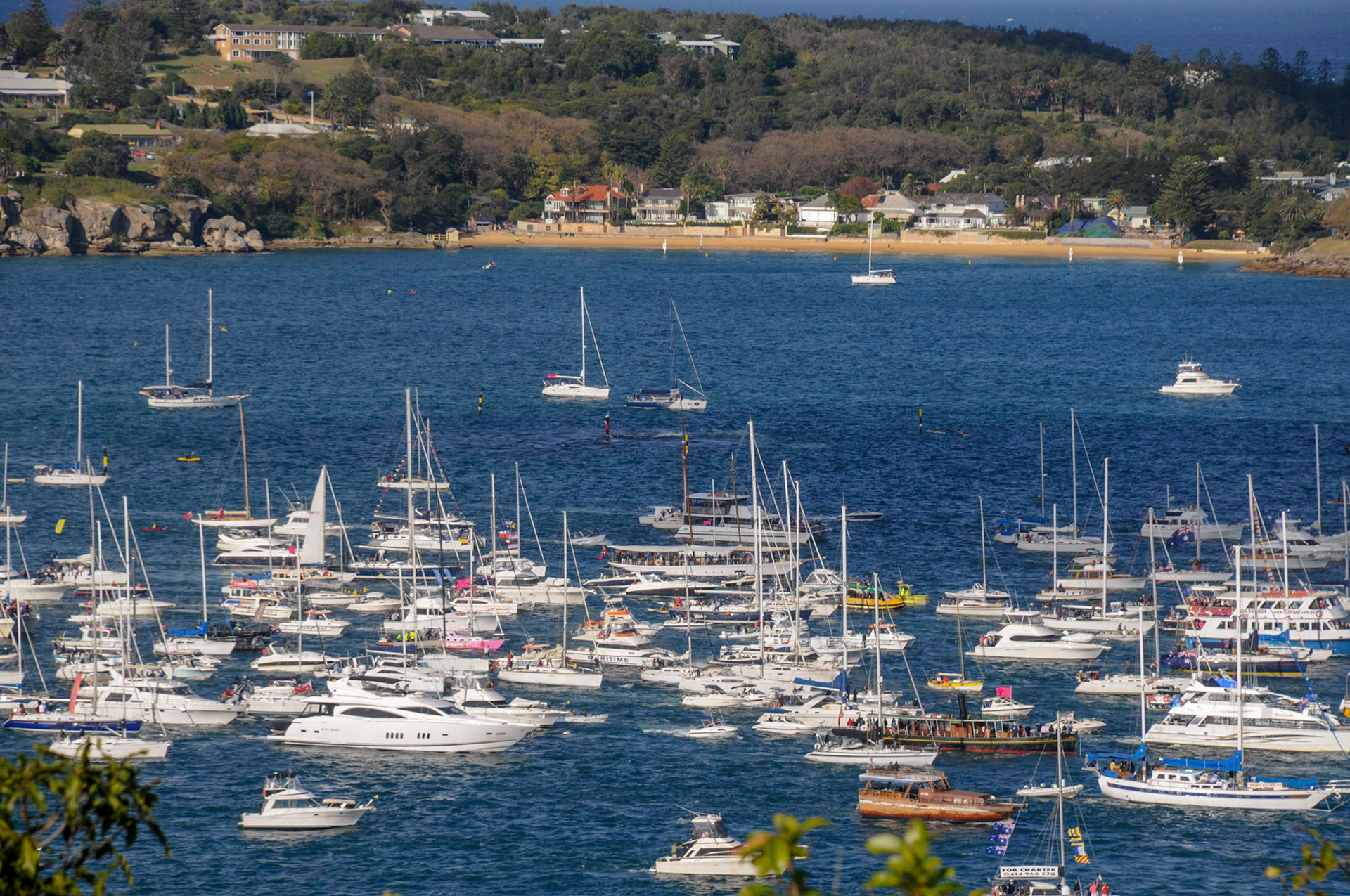 The pink boat in the middle