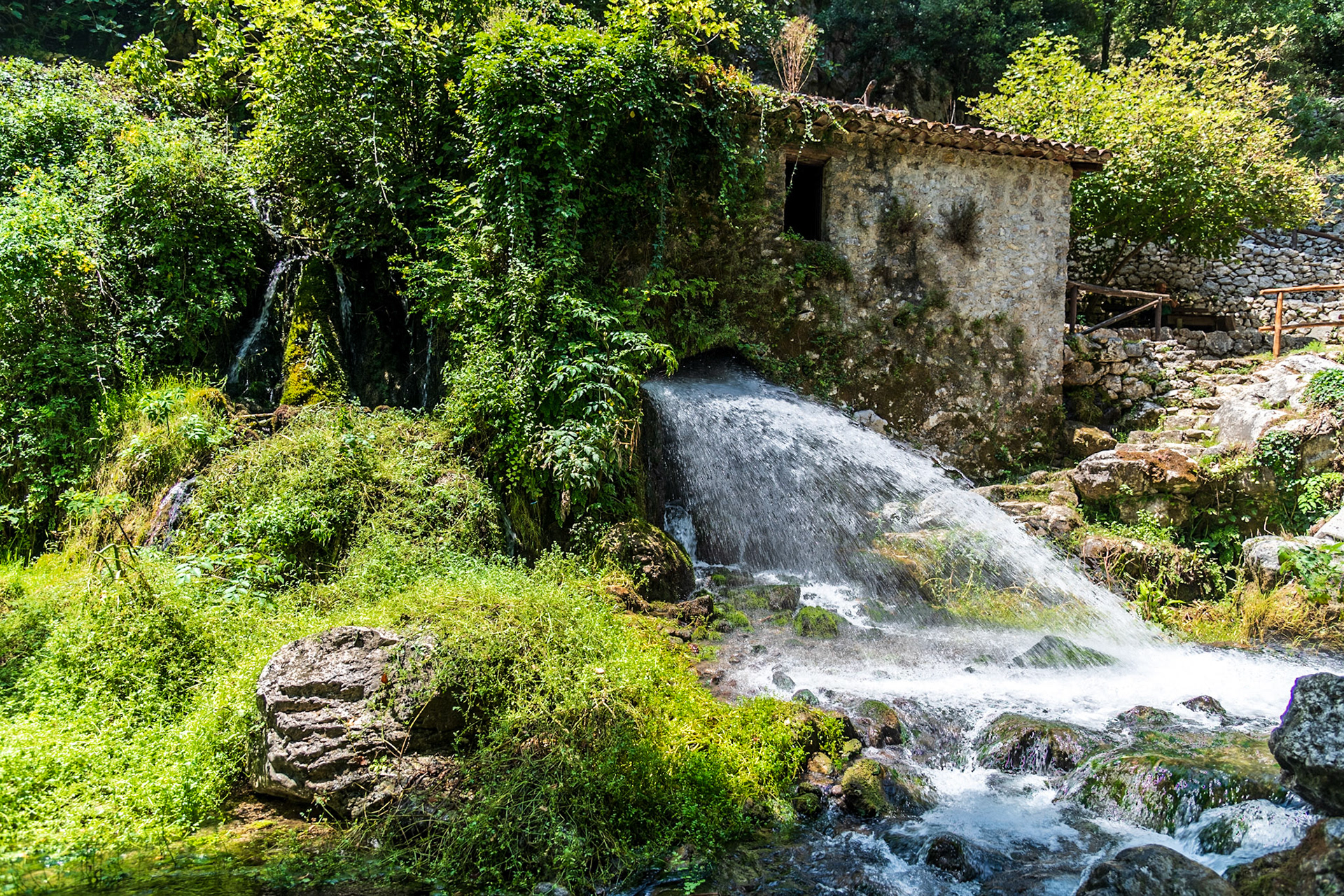 Grotte del Bussento