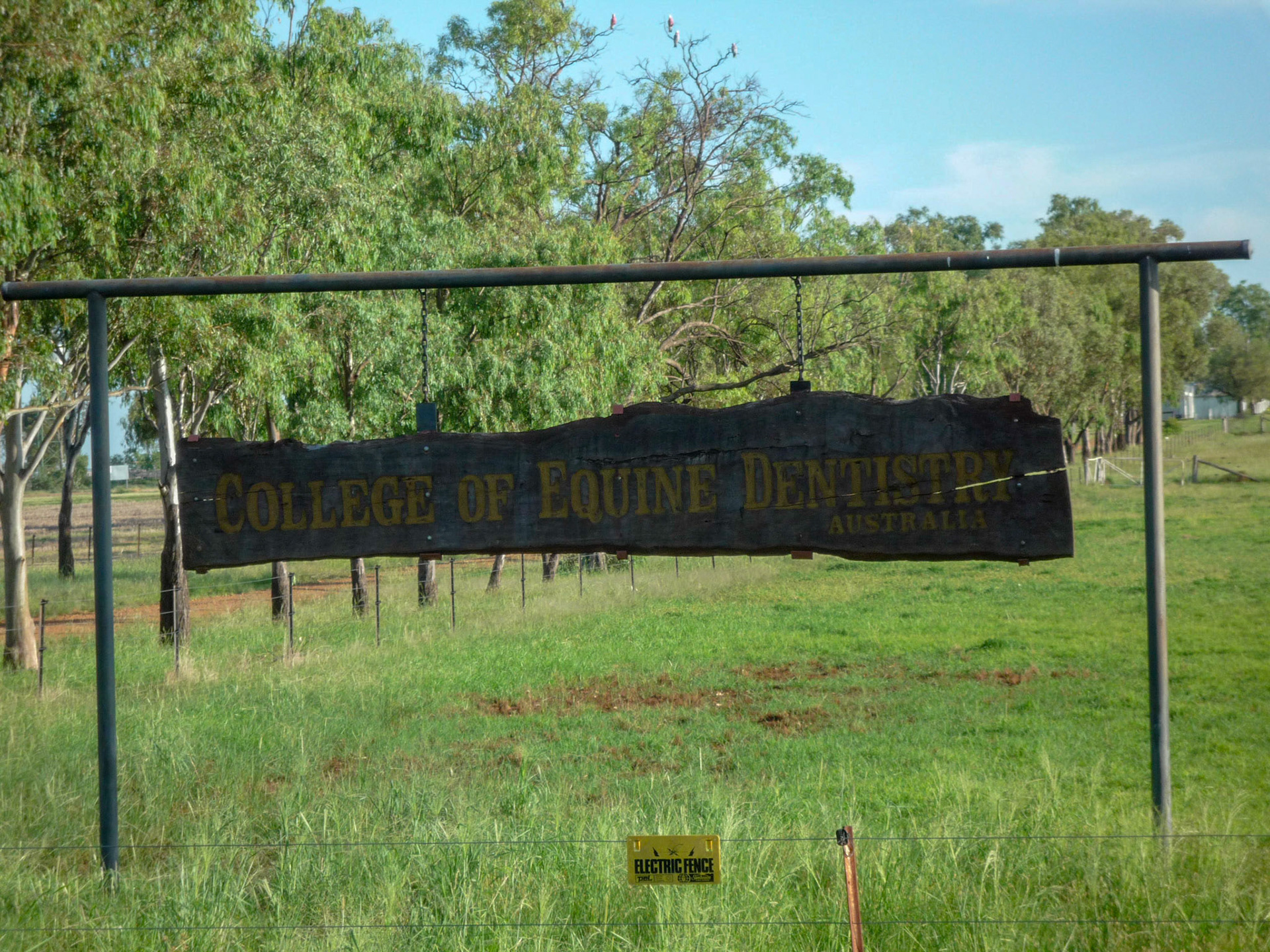 Australian Equine Dental School