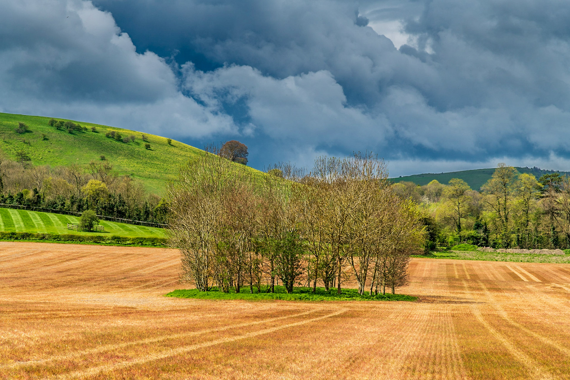 Storm over Watership Down