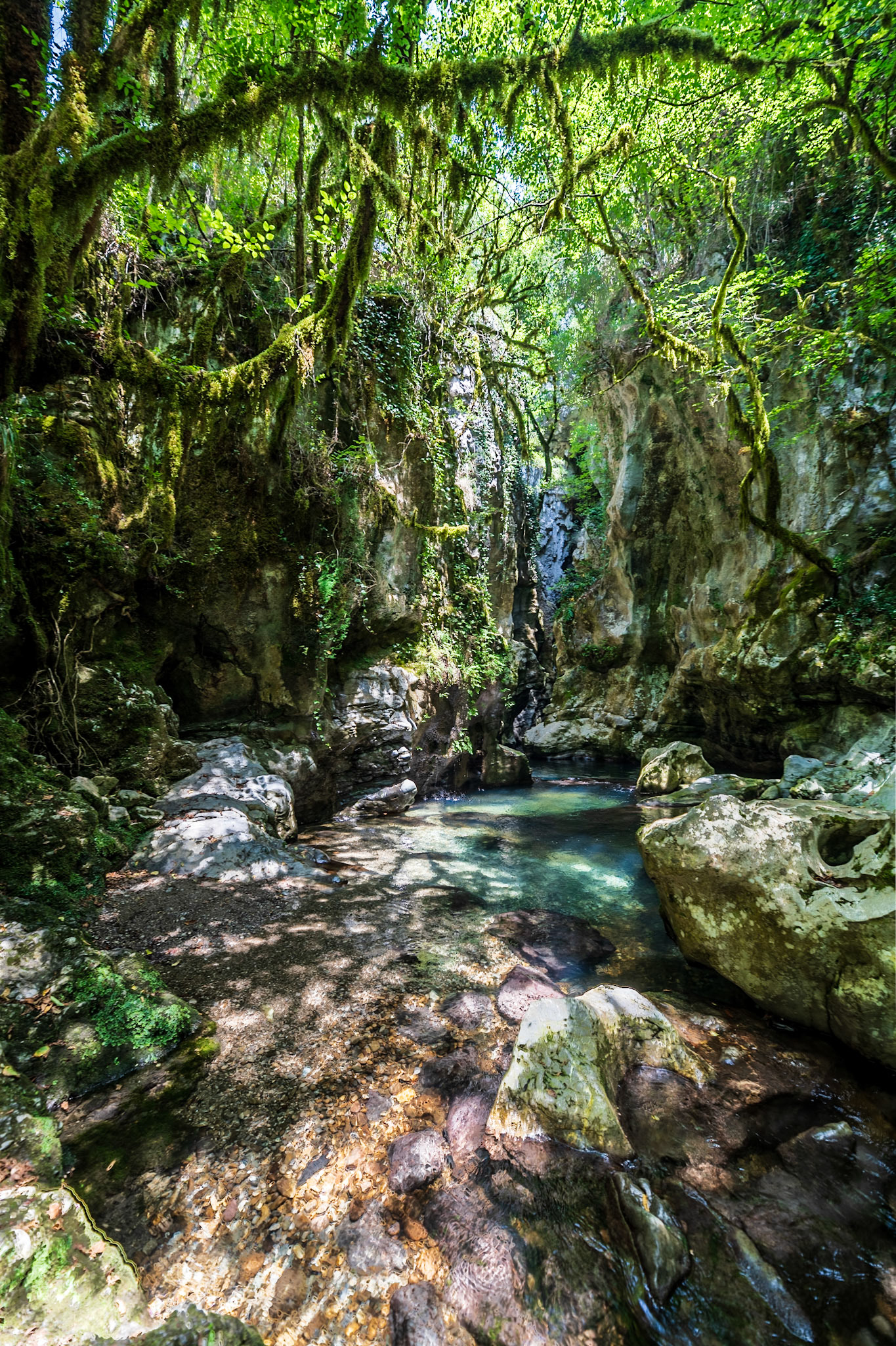 Grotte del Bussento