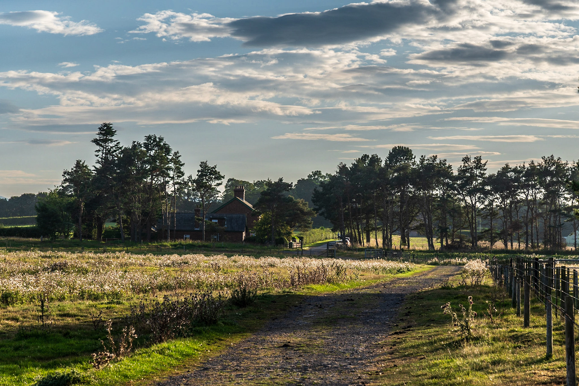 Our cottage for the week