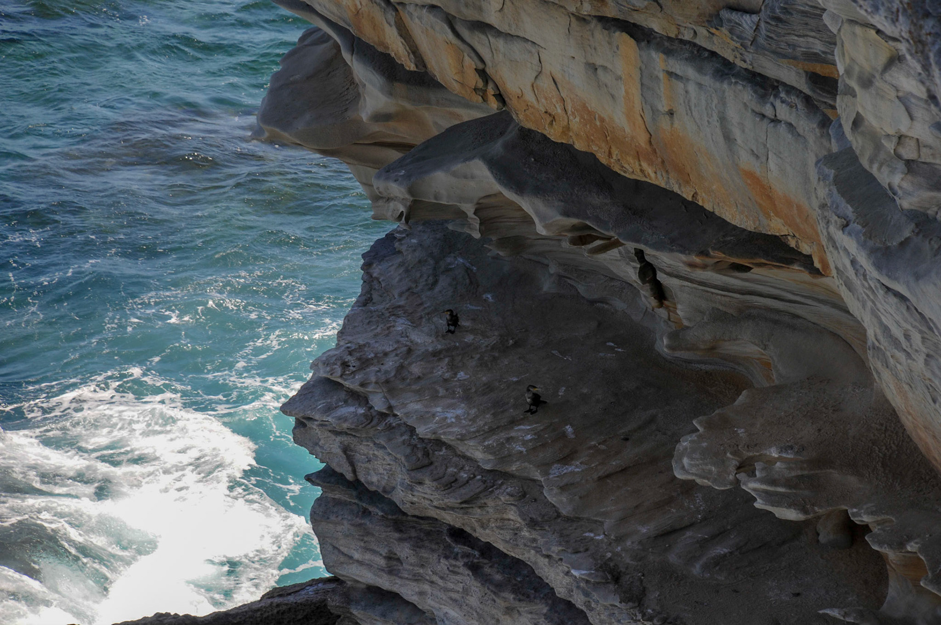 Pit stop for the locals