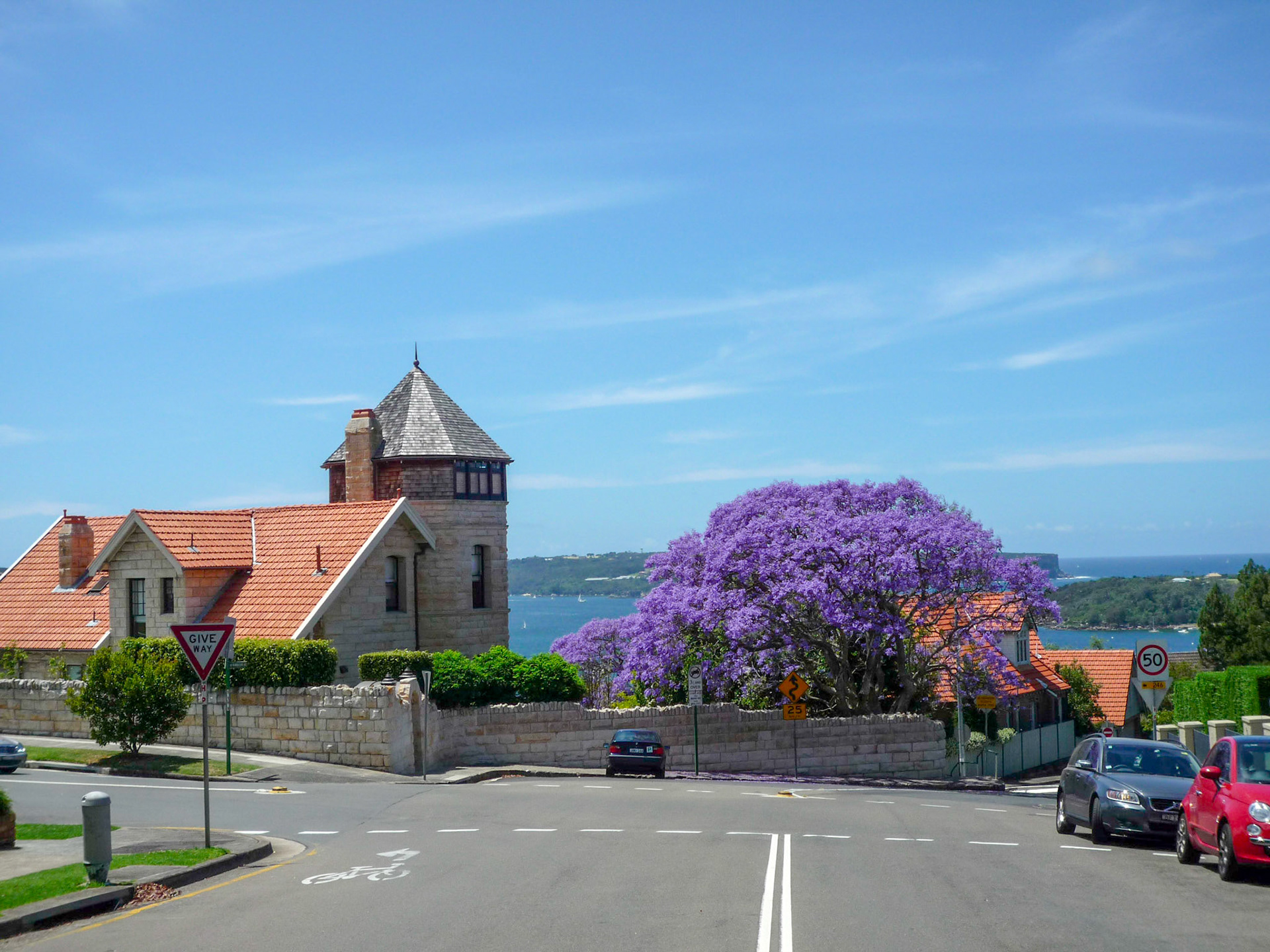 Jacarandas signal Spring...