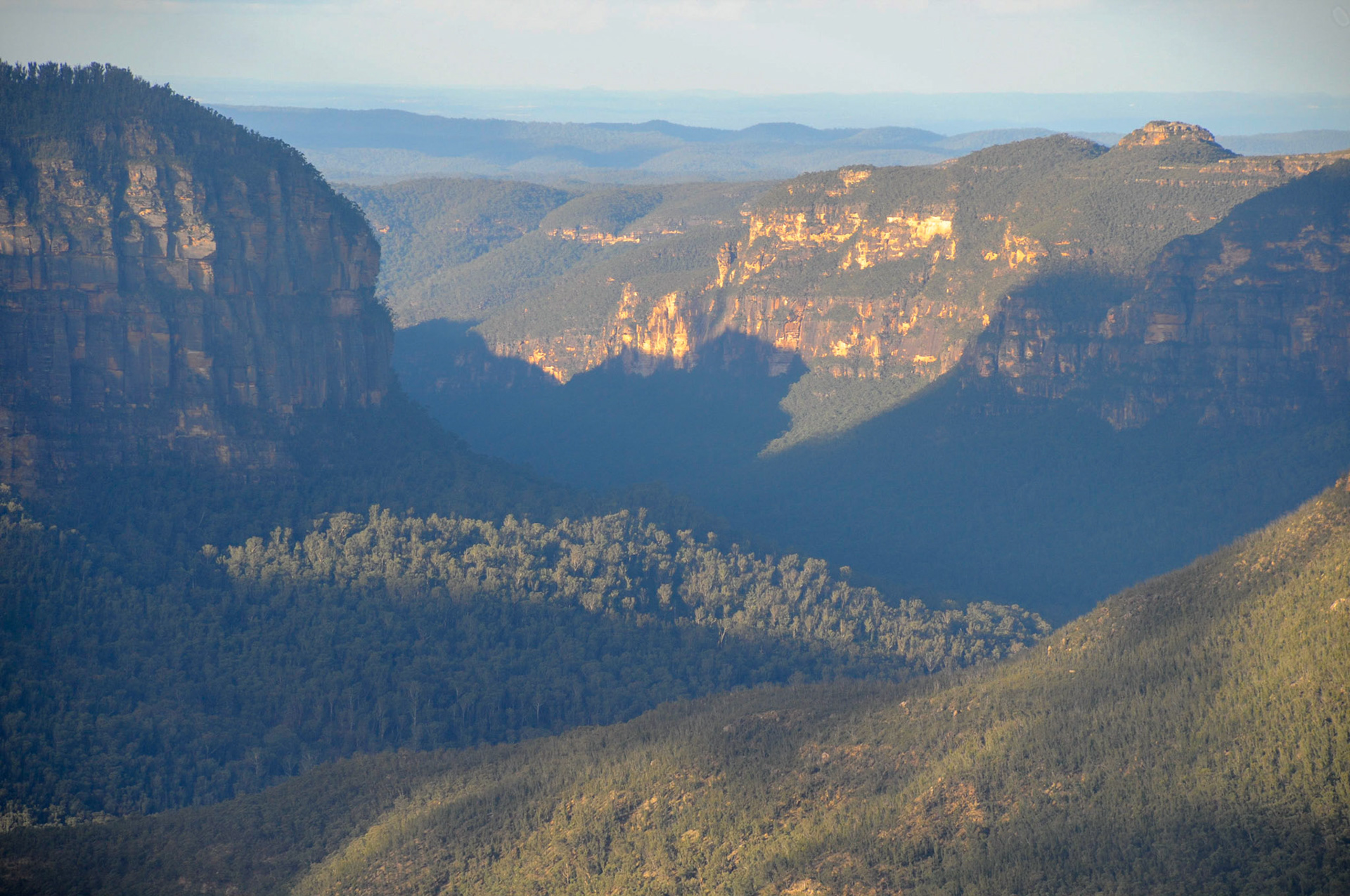 Eucalypt oil Blue haze