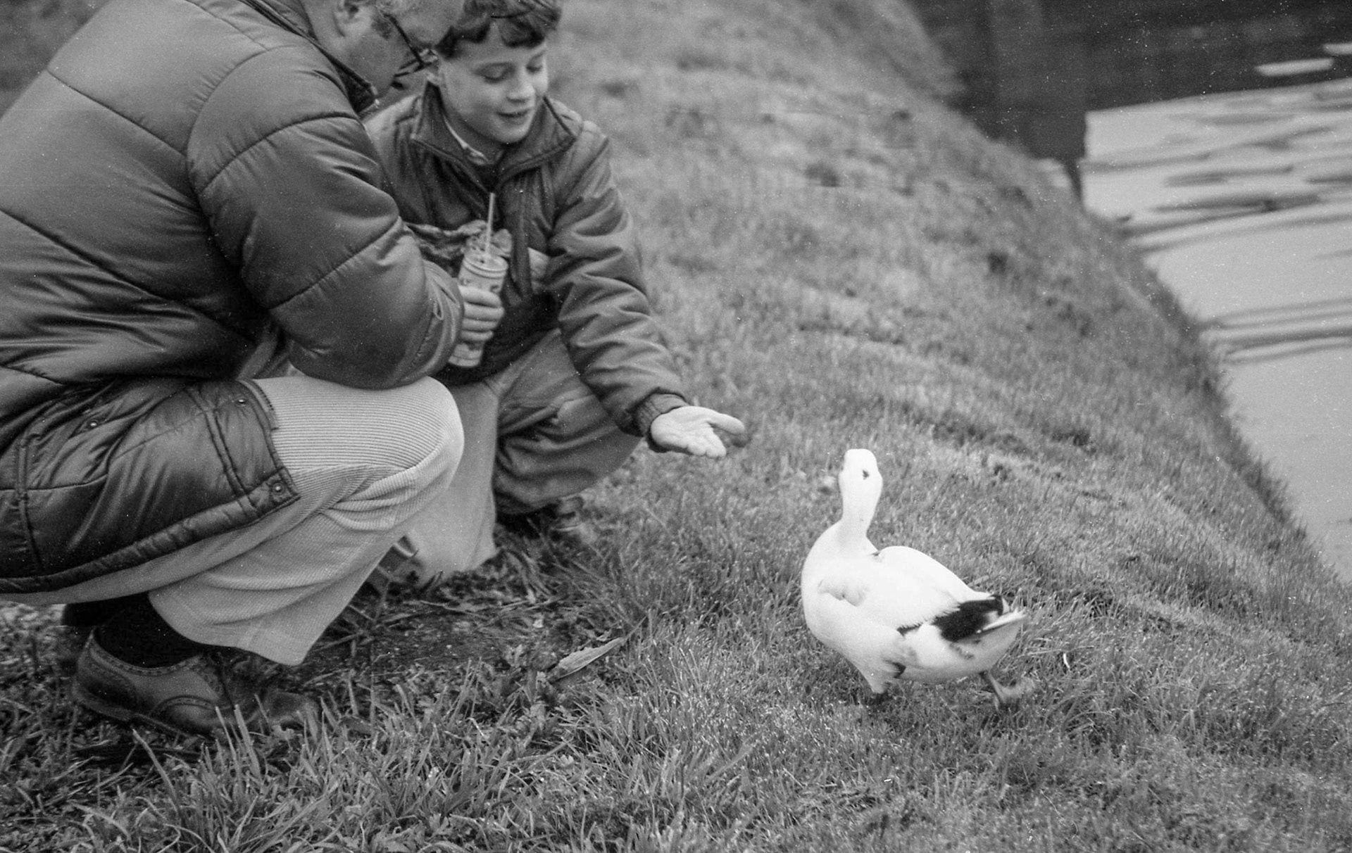 Feeding ducks in Amsterdam